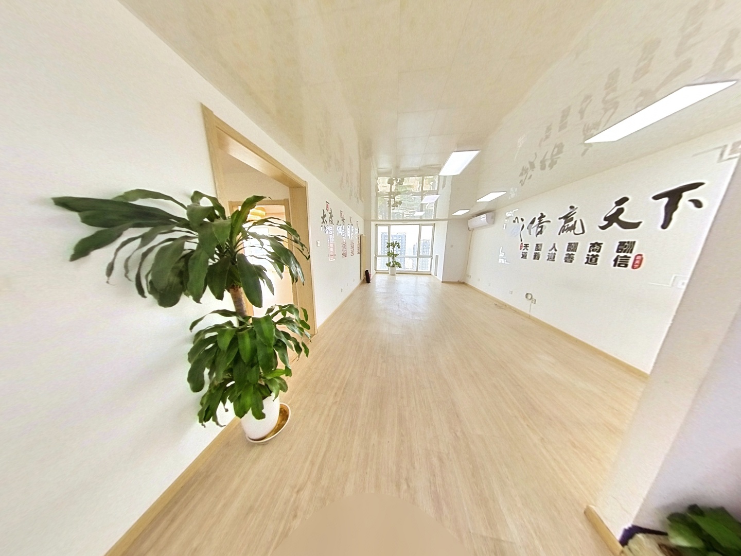 VR预览图