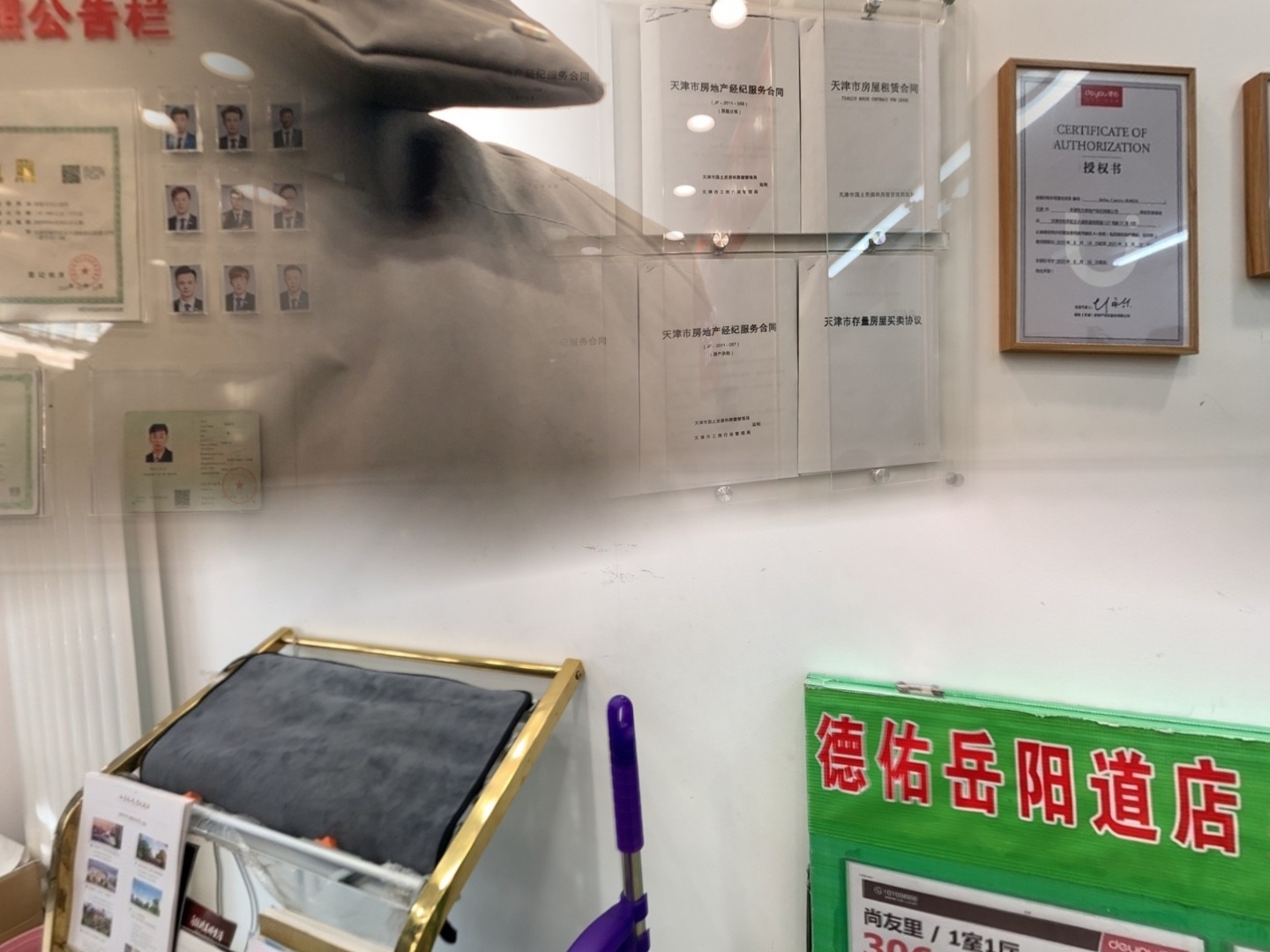 VR预览图