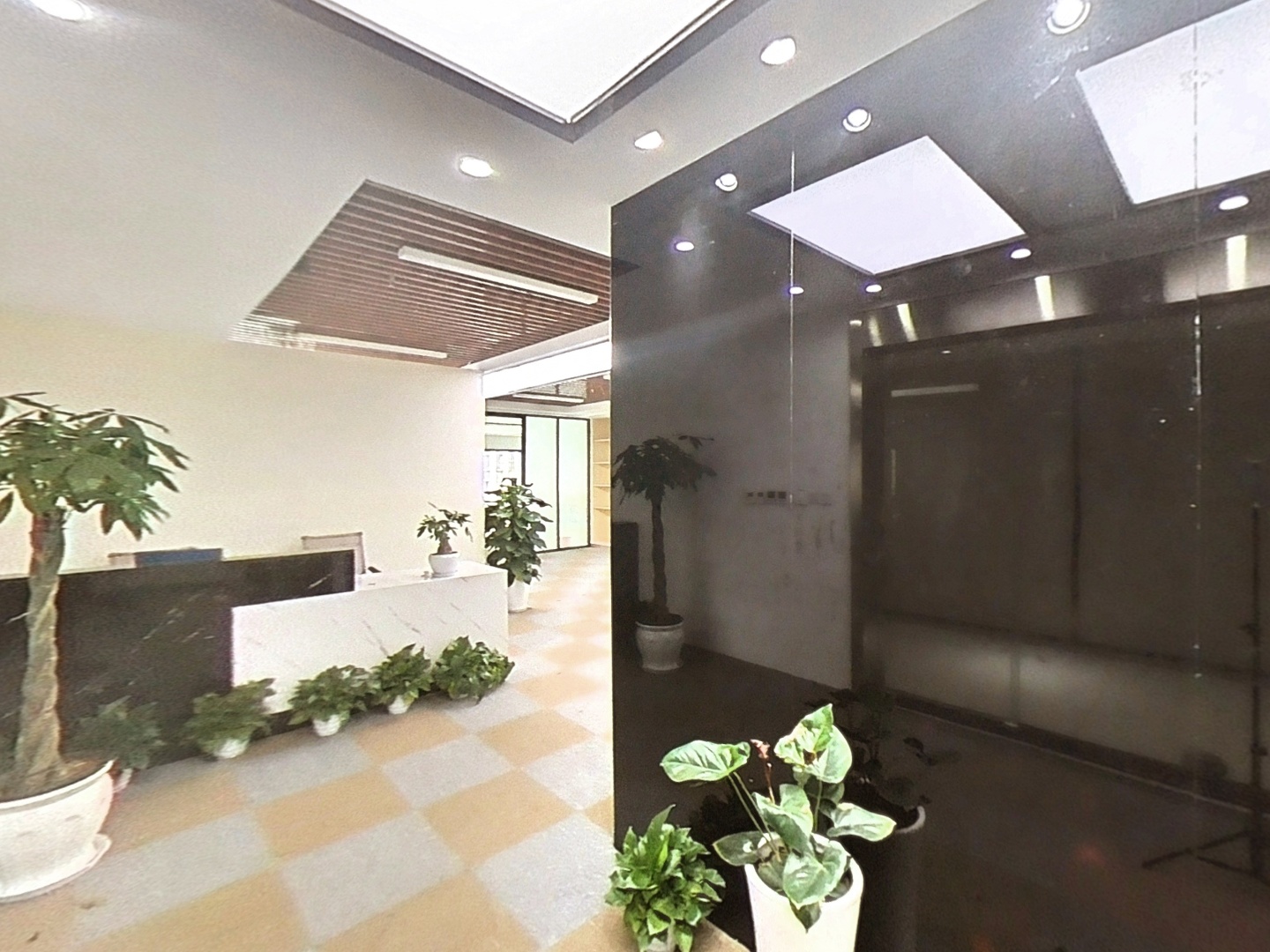 VR预览图