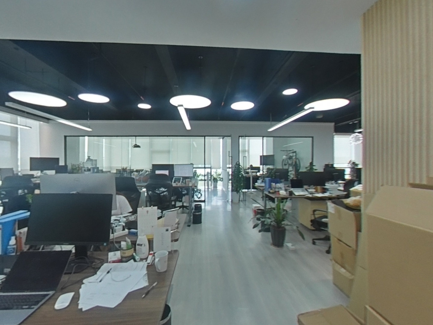 VR预览图