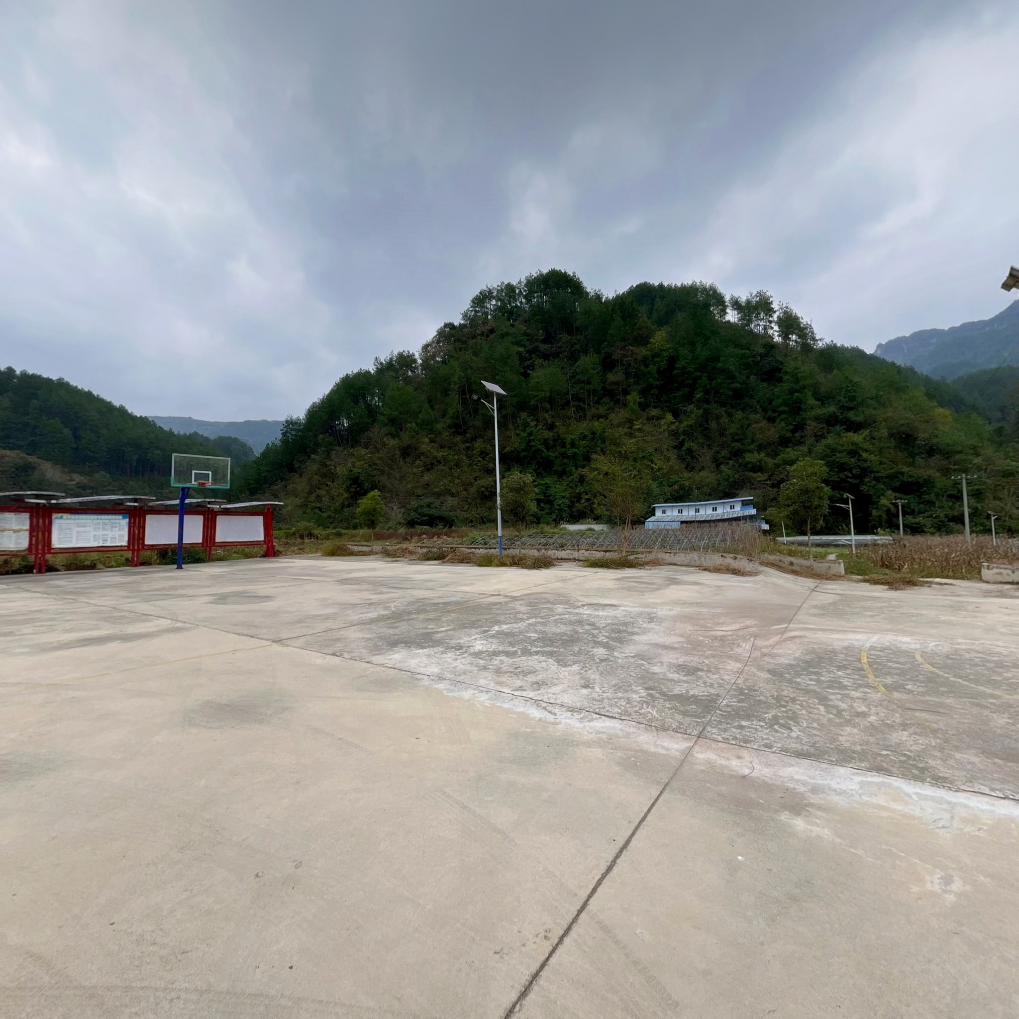 VR预览图