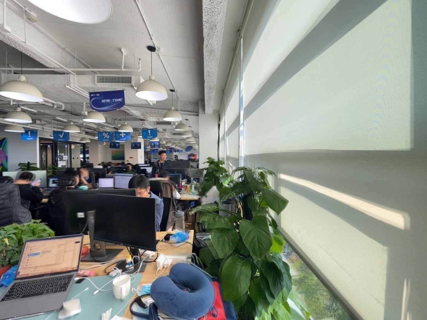 VR预览图