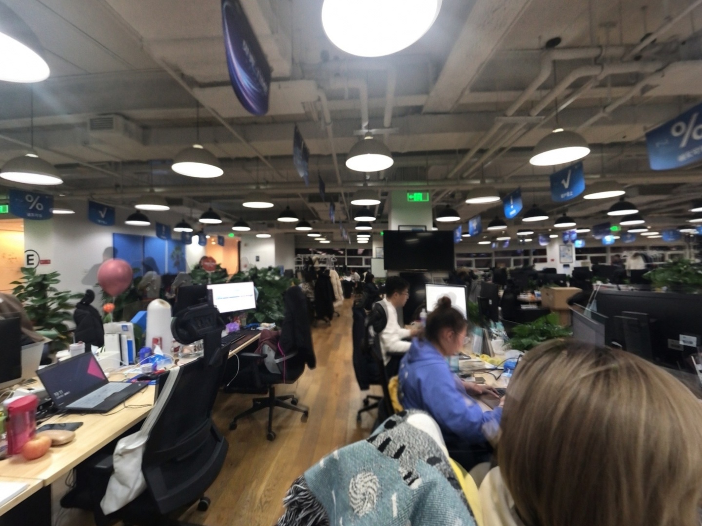 VR预览图