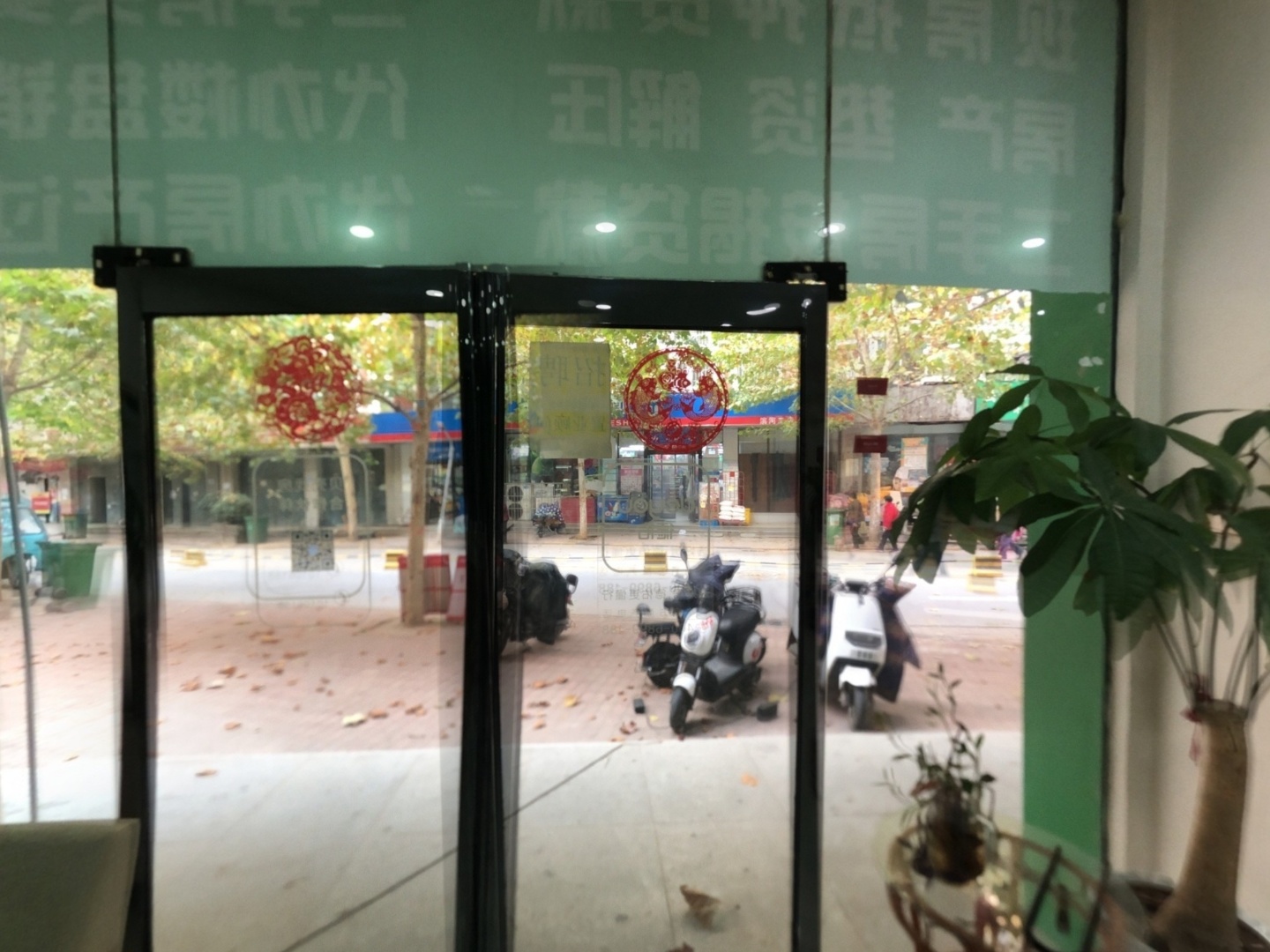 VR预览图
