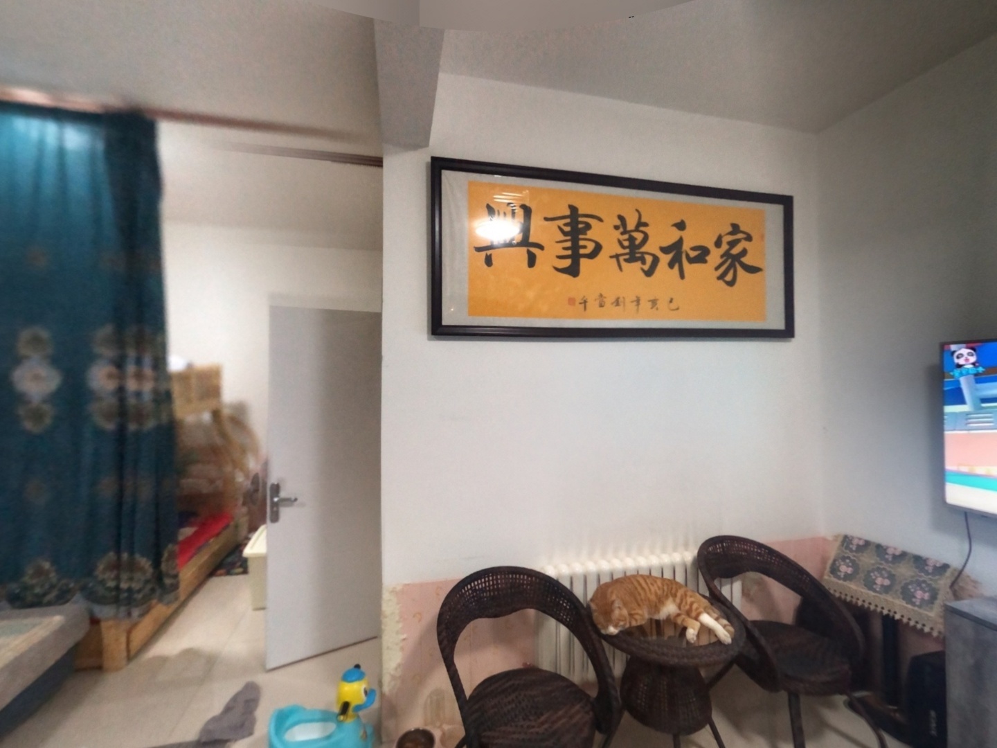 VR预览图