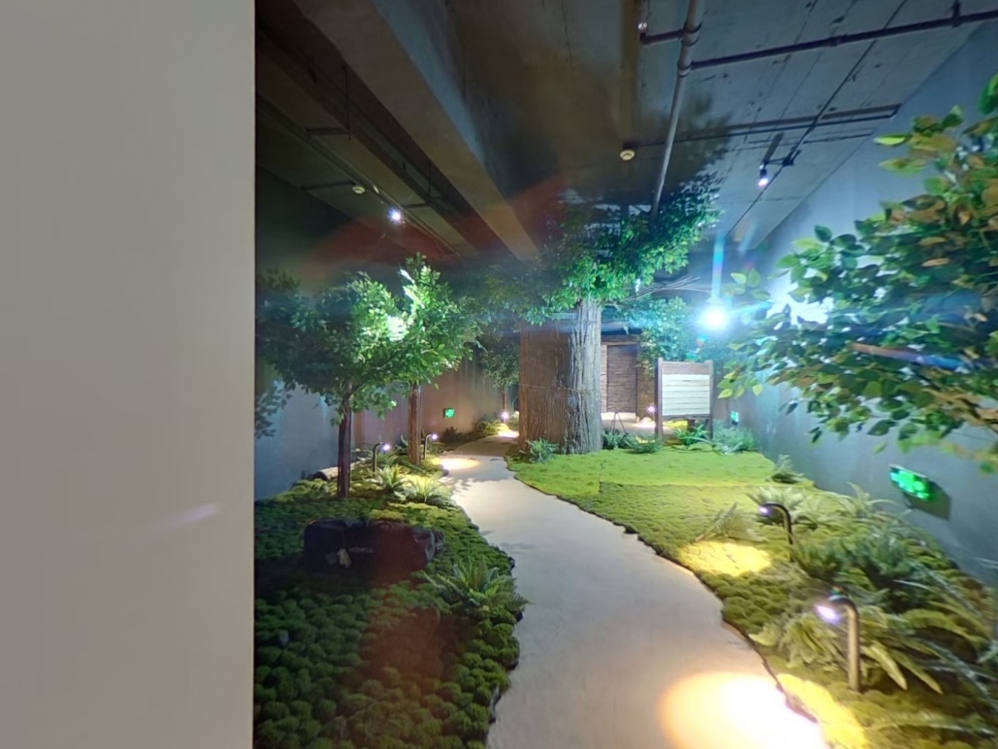 VR预览图