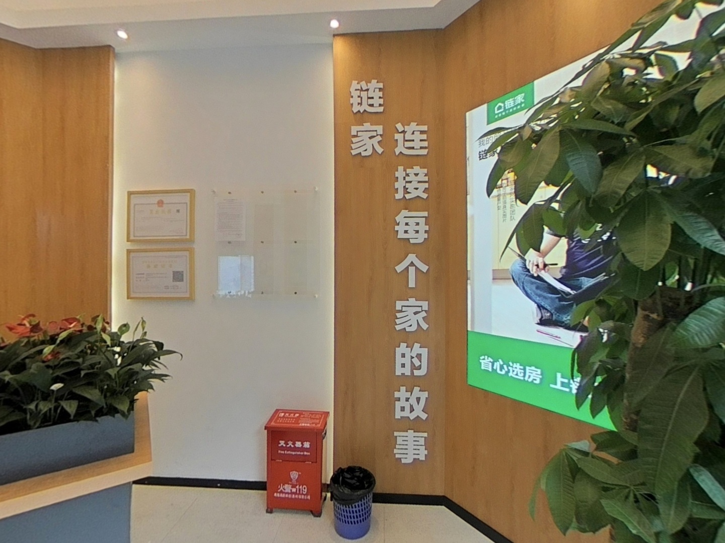 VR预览图