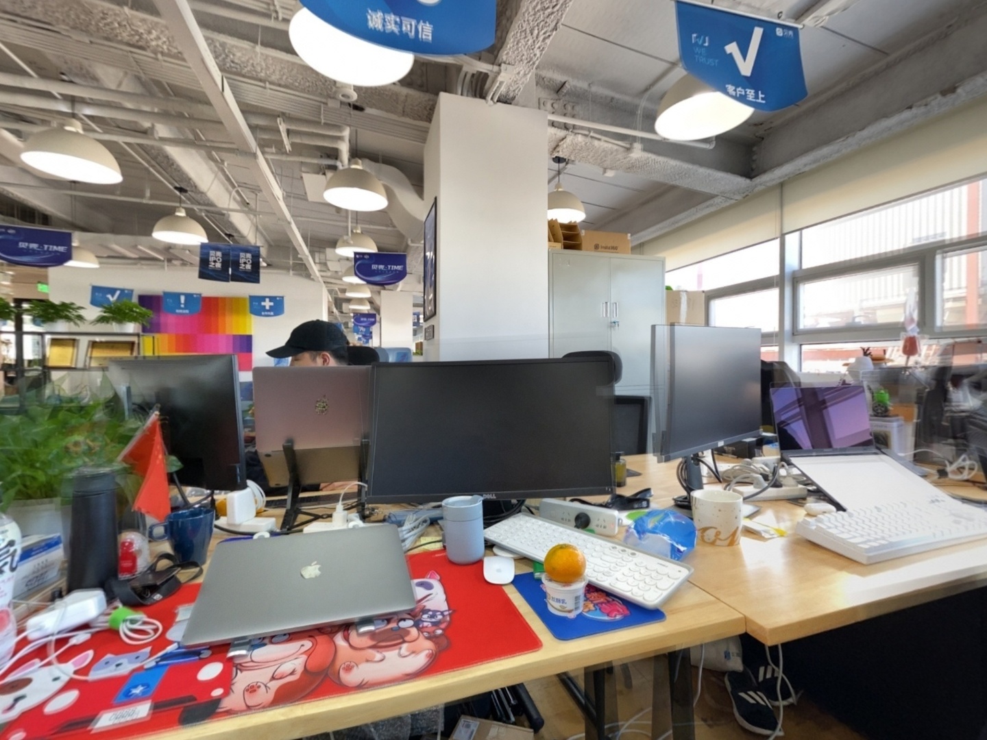 VR预览图
