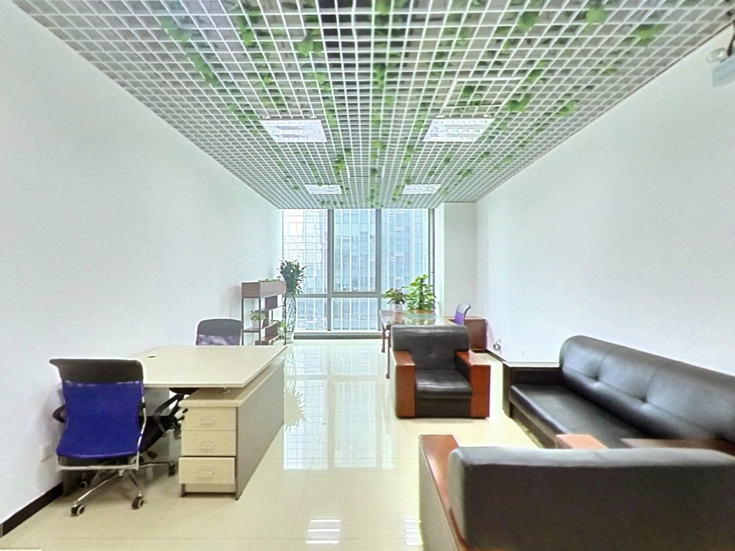 VR预览图