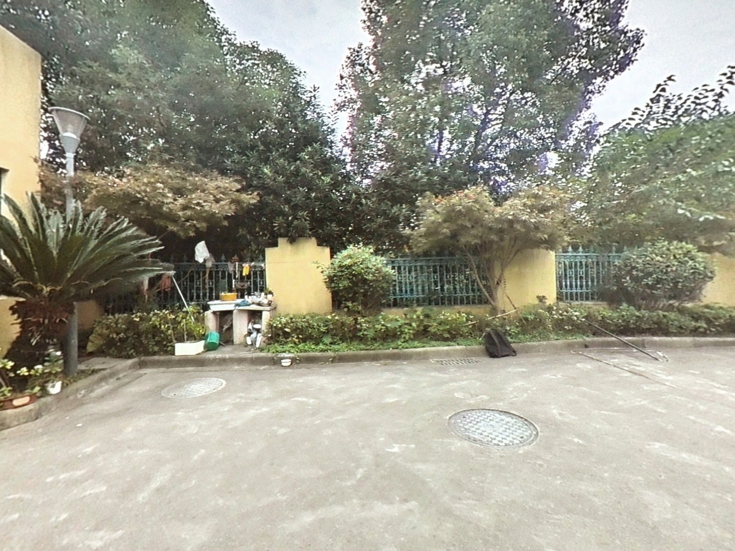 VR预览图