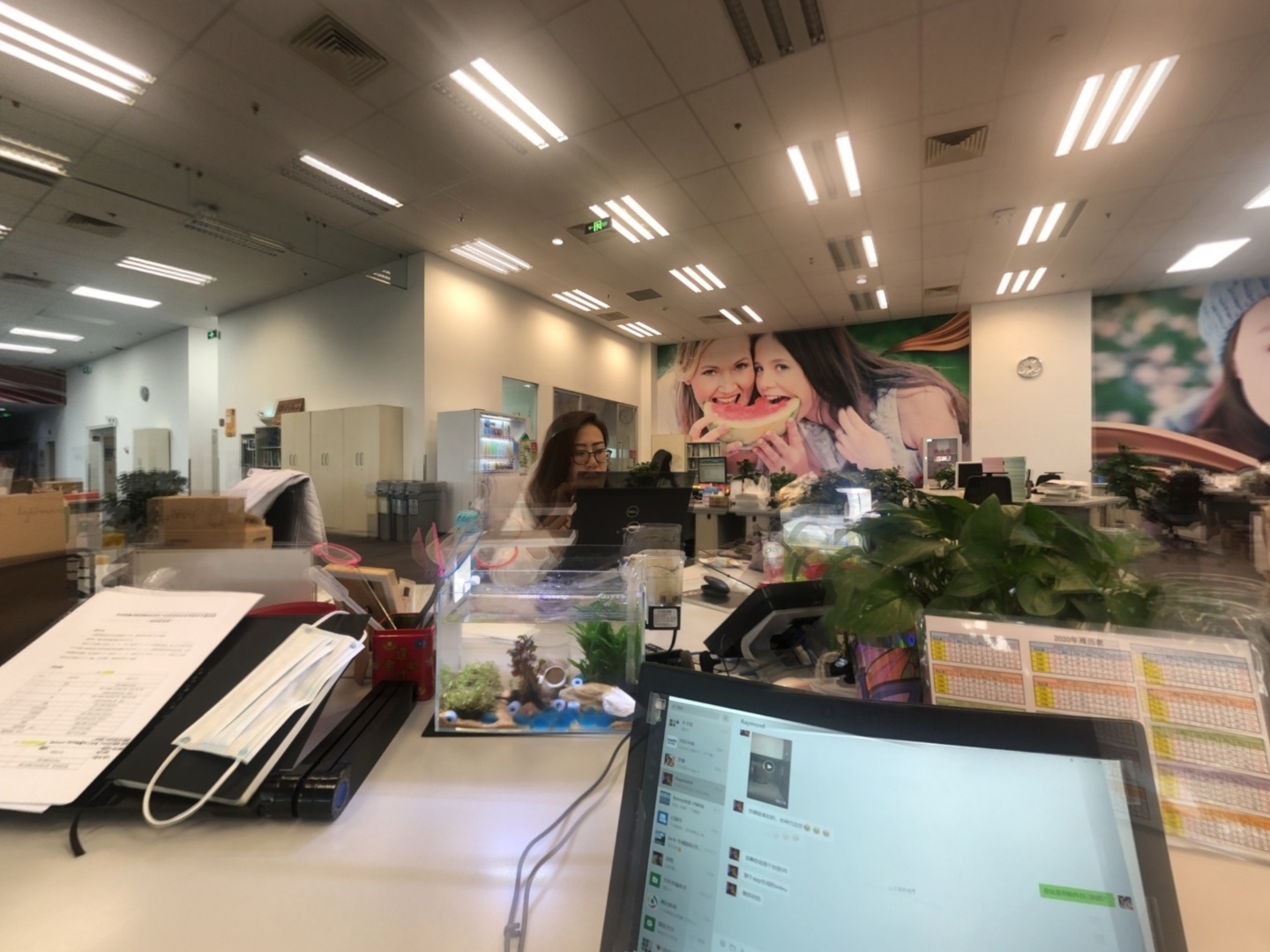 VR预览图