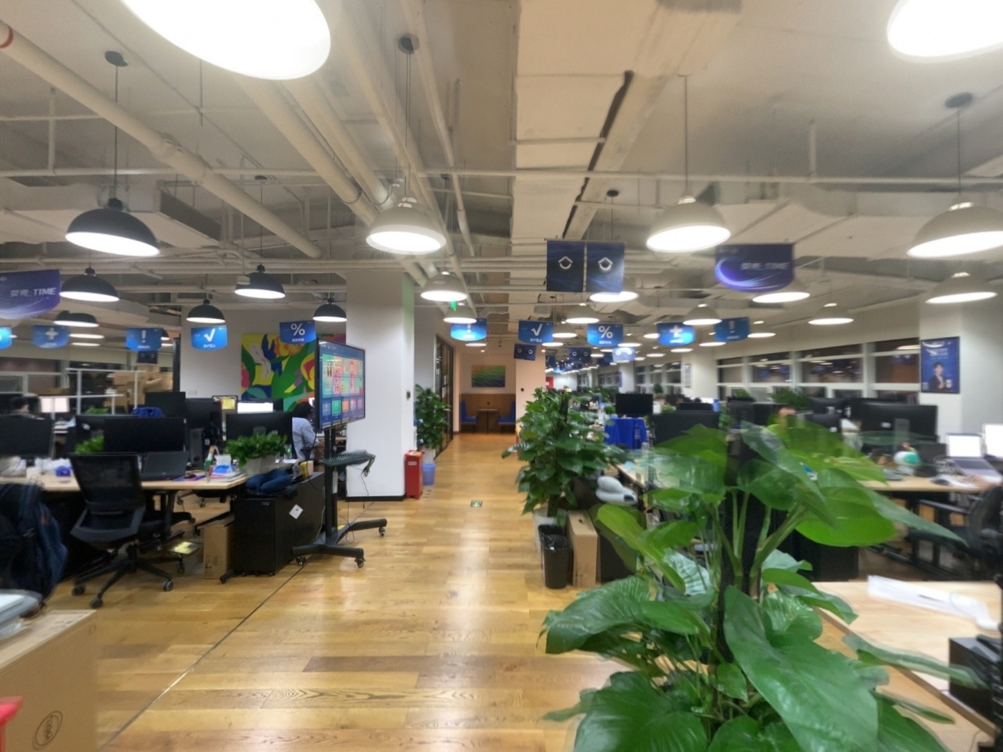 VR预览图