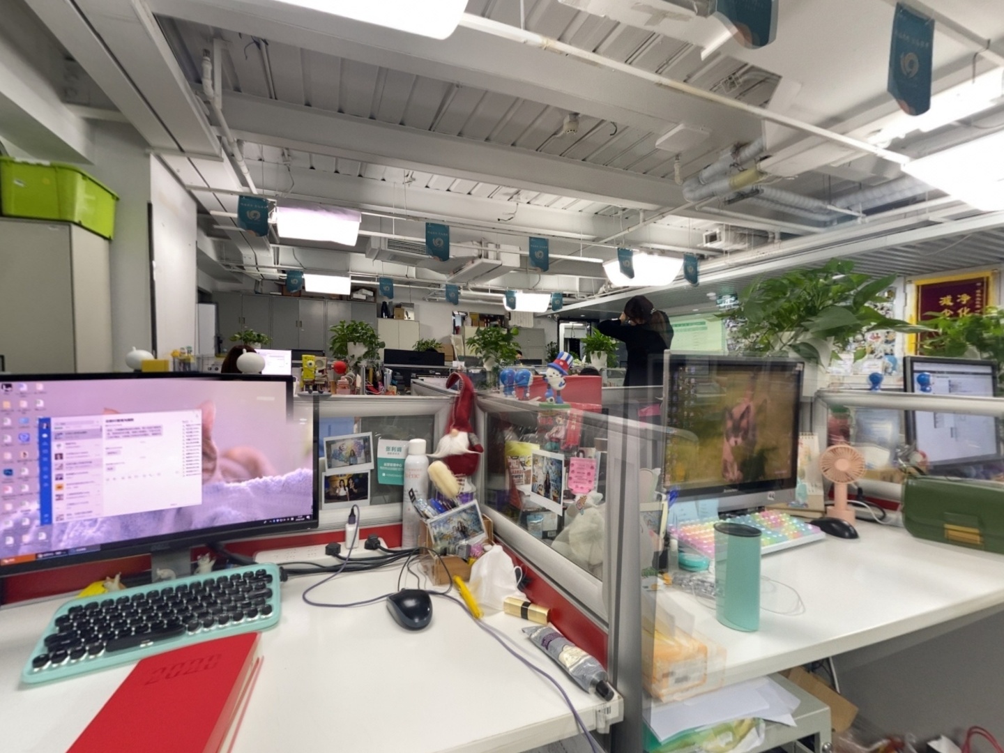 VR预览图