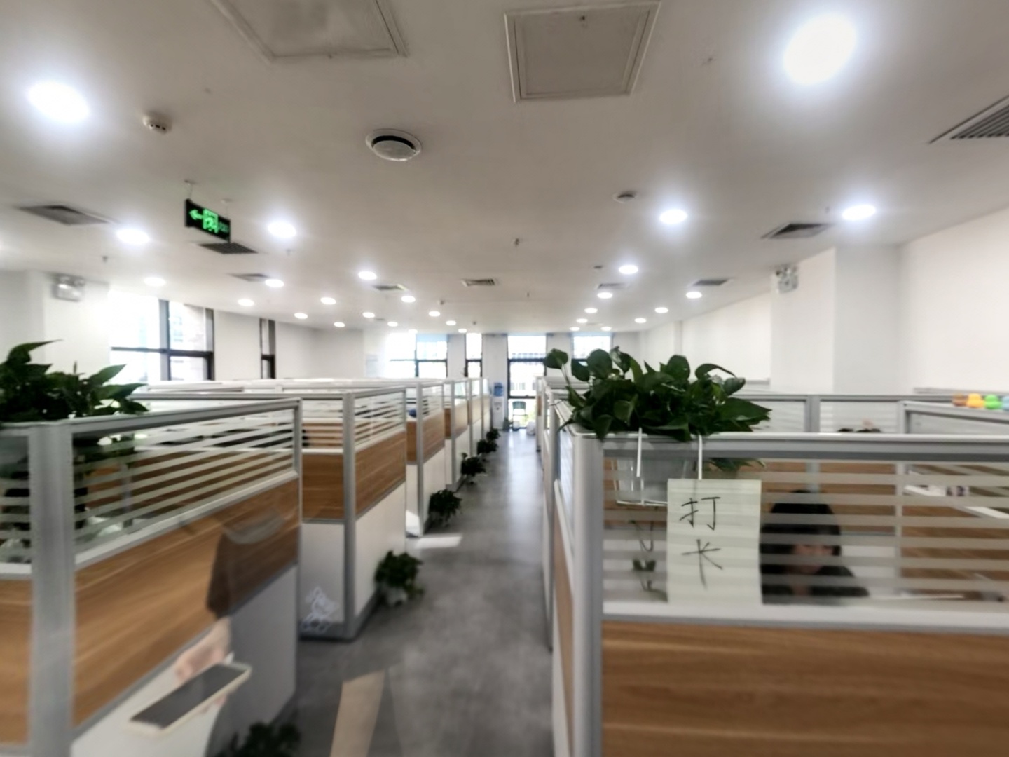 VR预览图