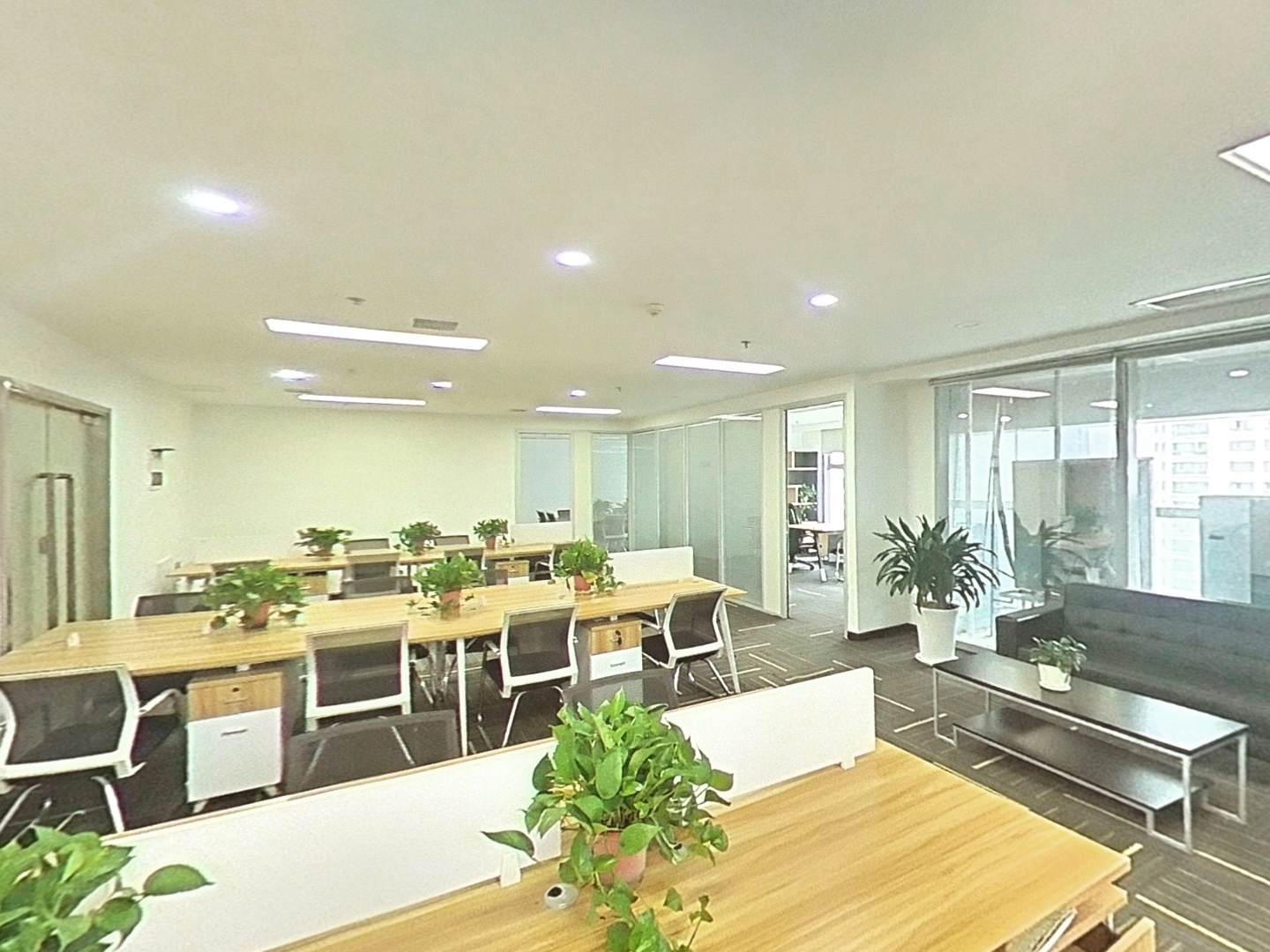 VR预览图