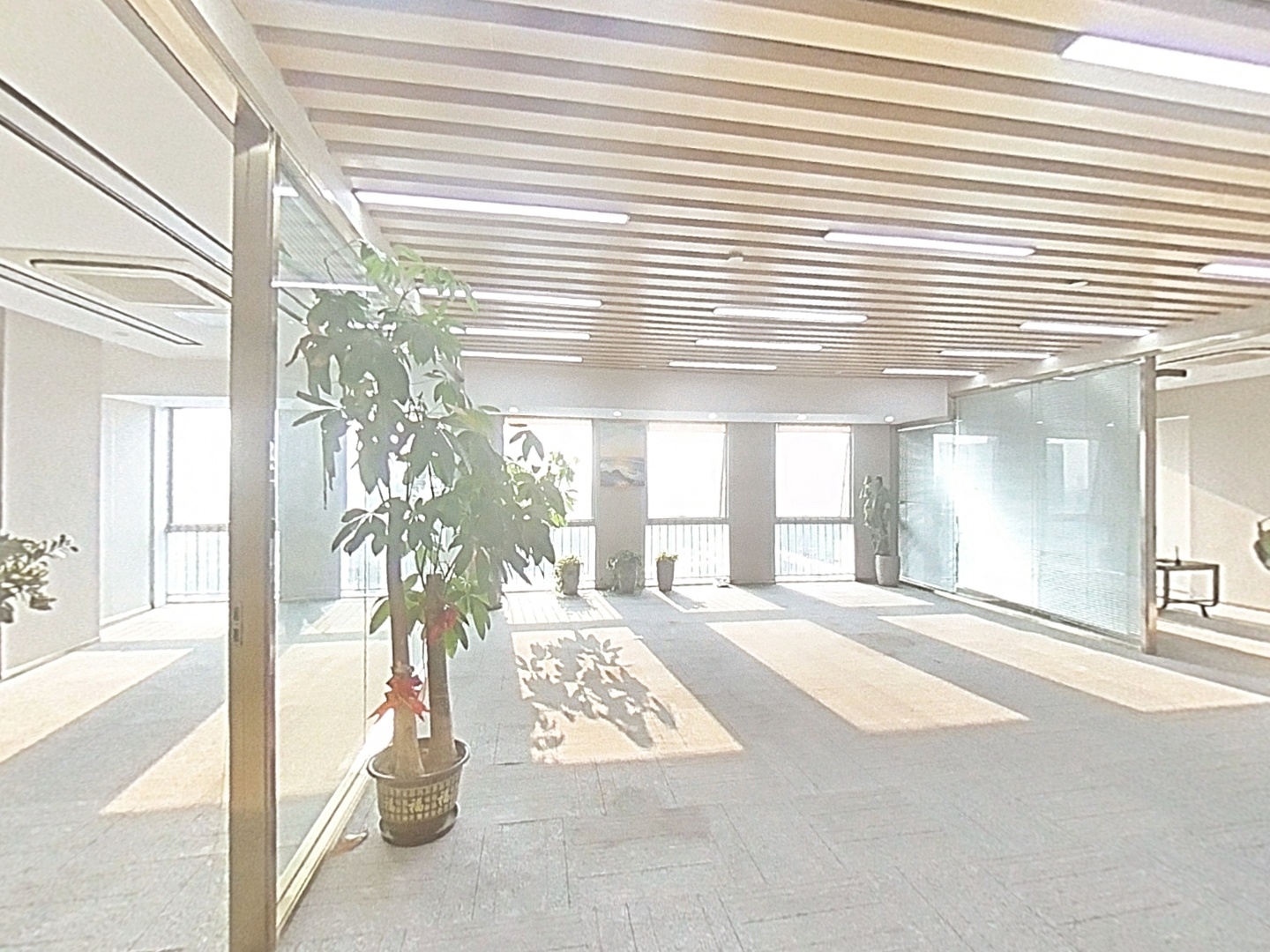 VR预览图