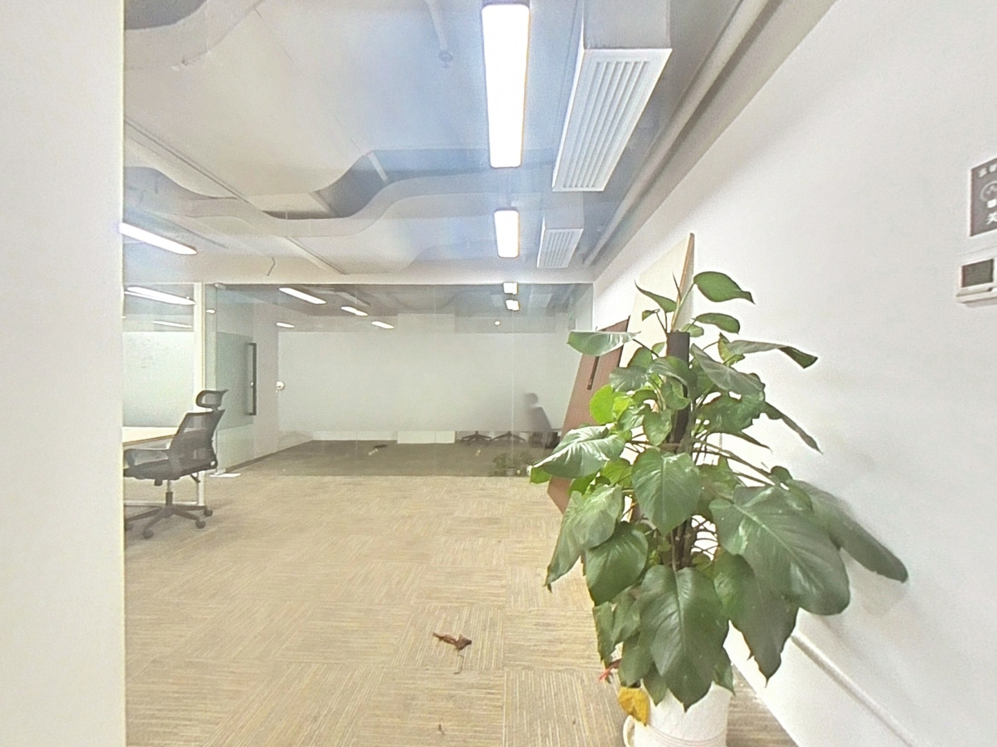 VR预览图