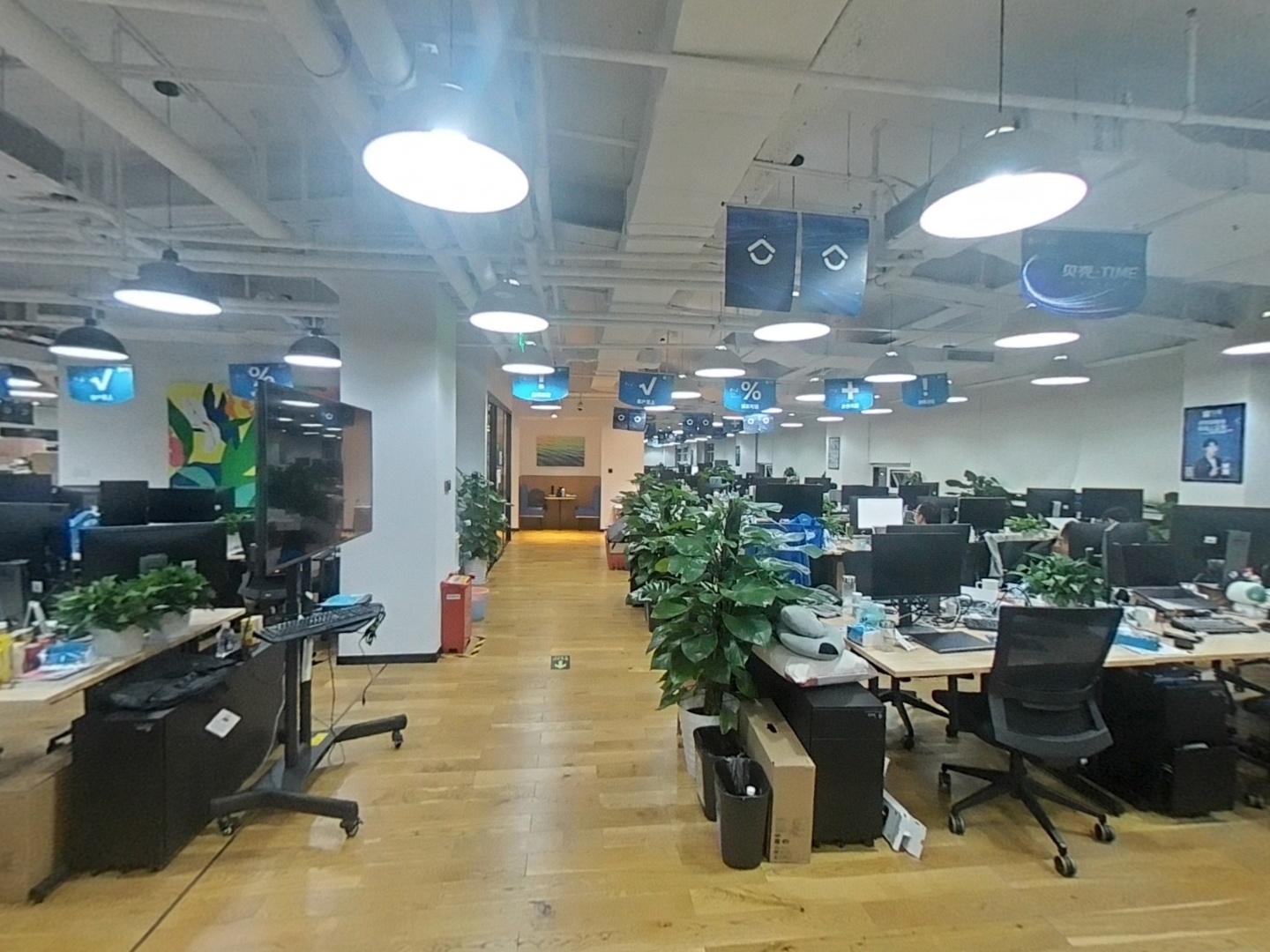 VR预览图