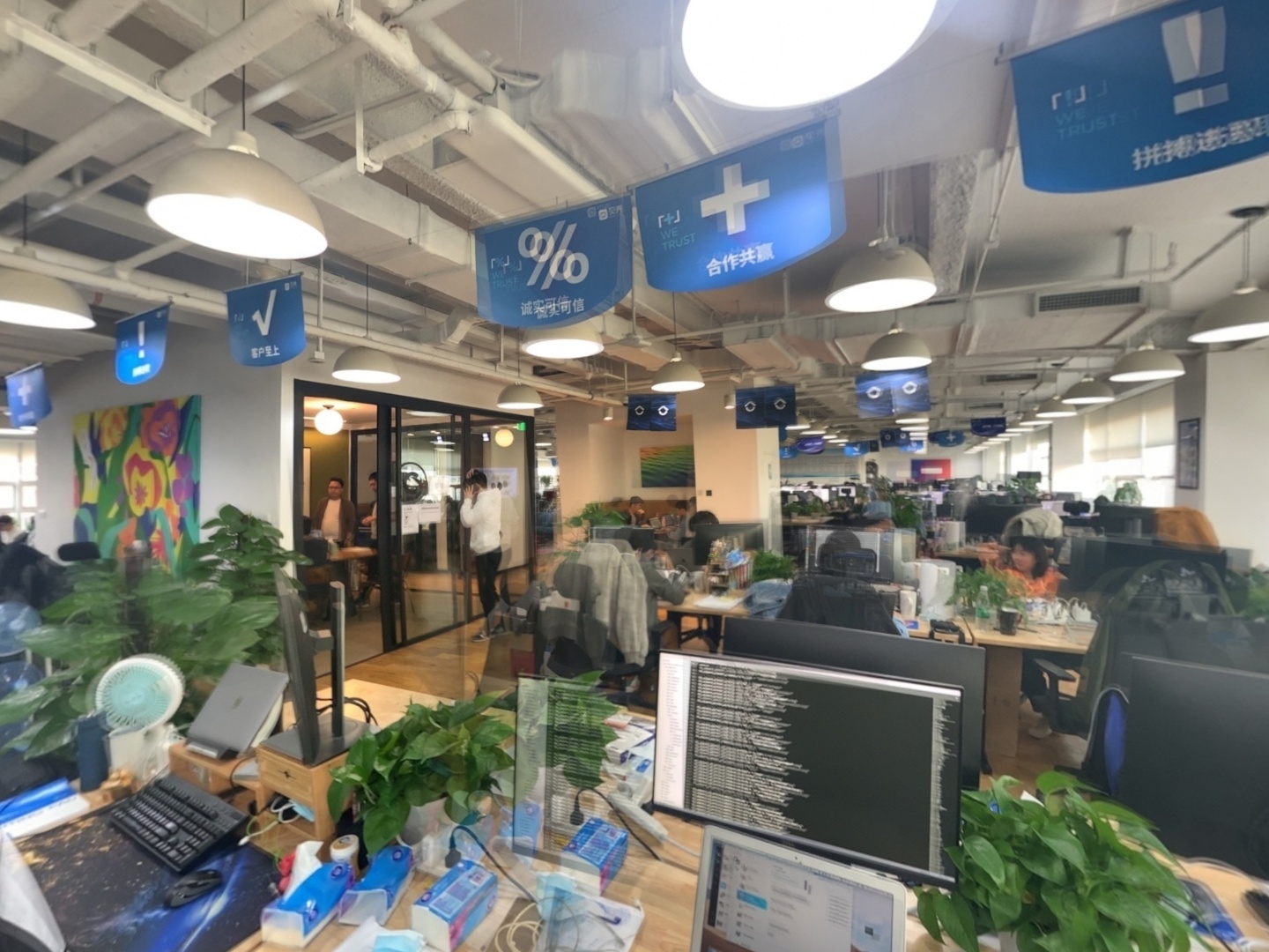 VR预览图