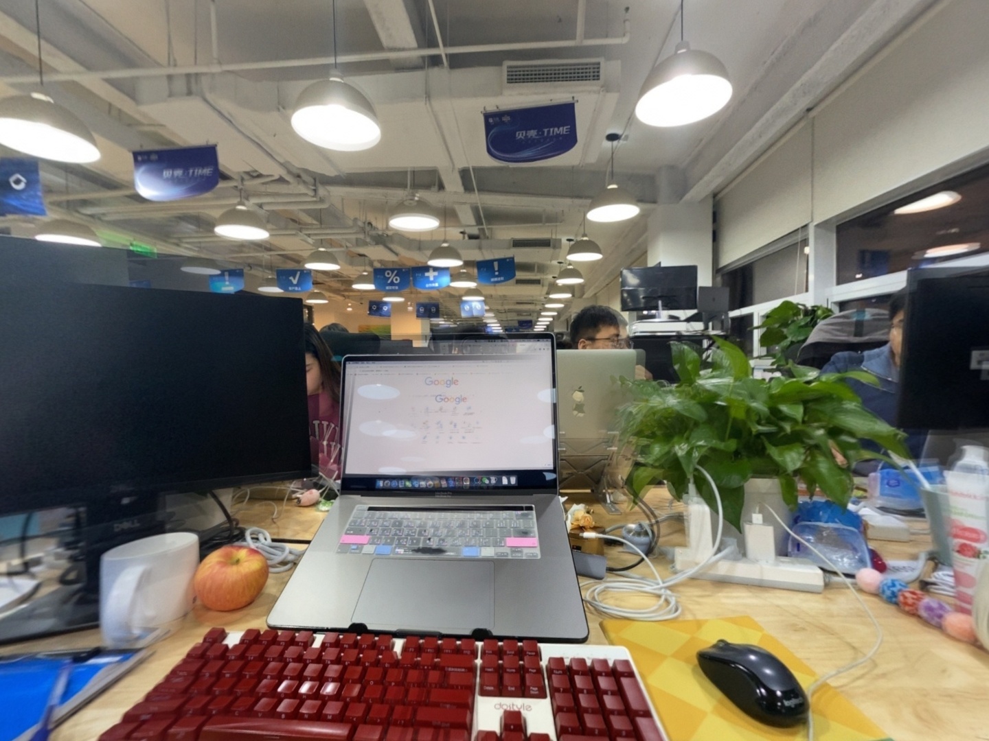 VR预览图