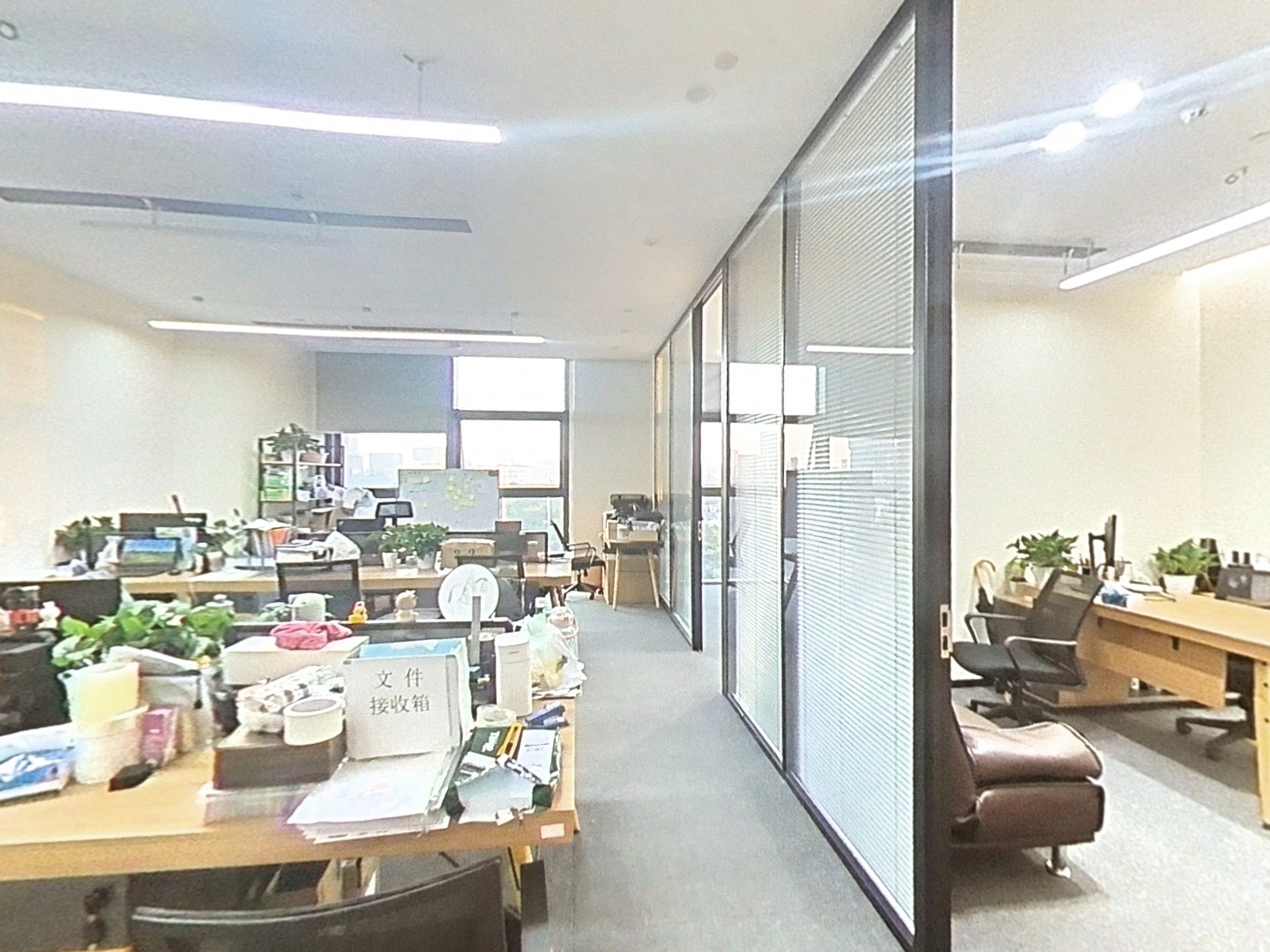 VR预览图