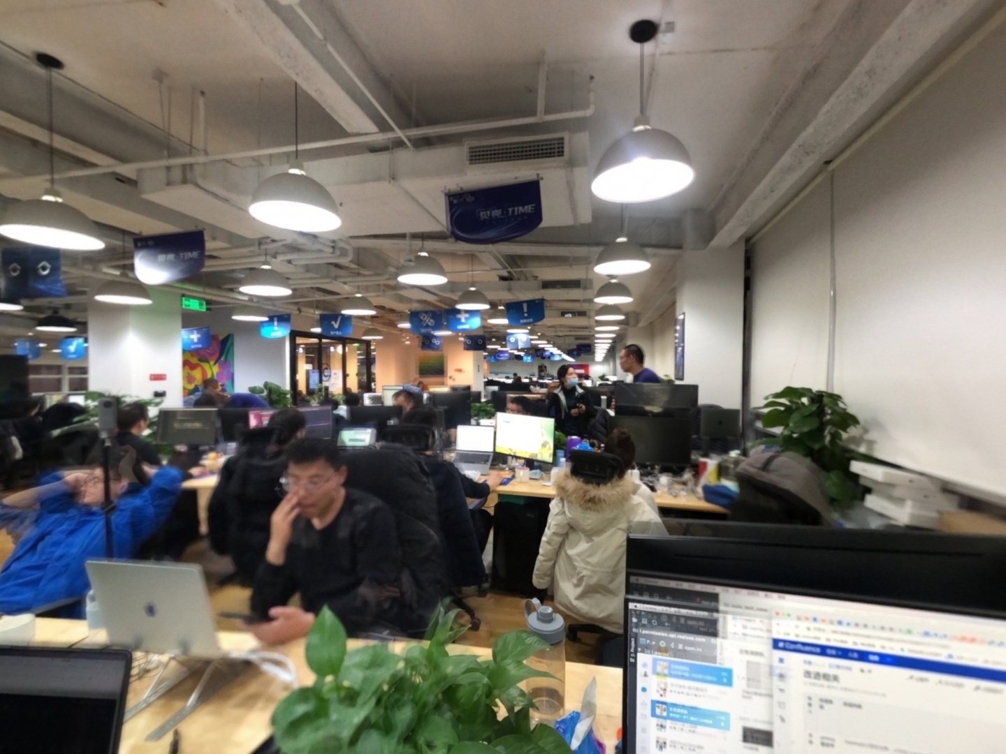 VR预览图