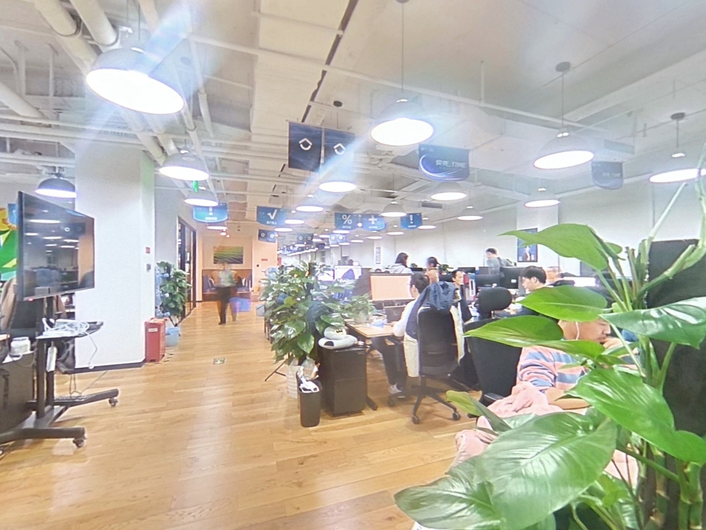 VR预览图
