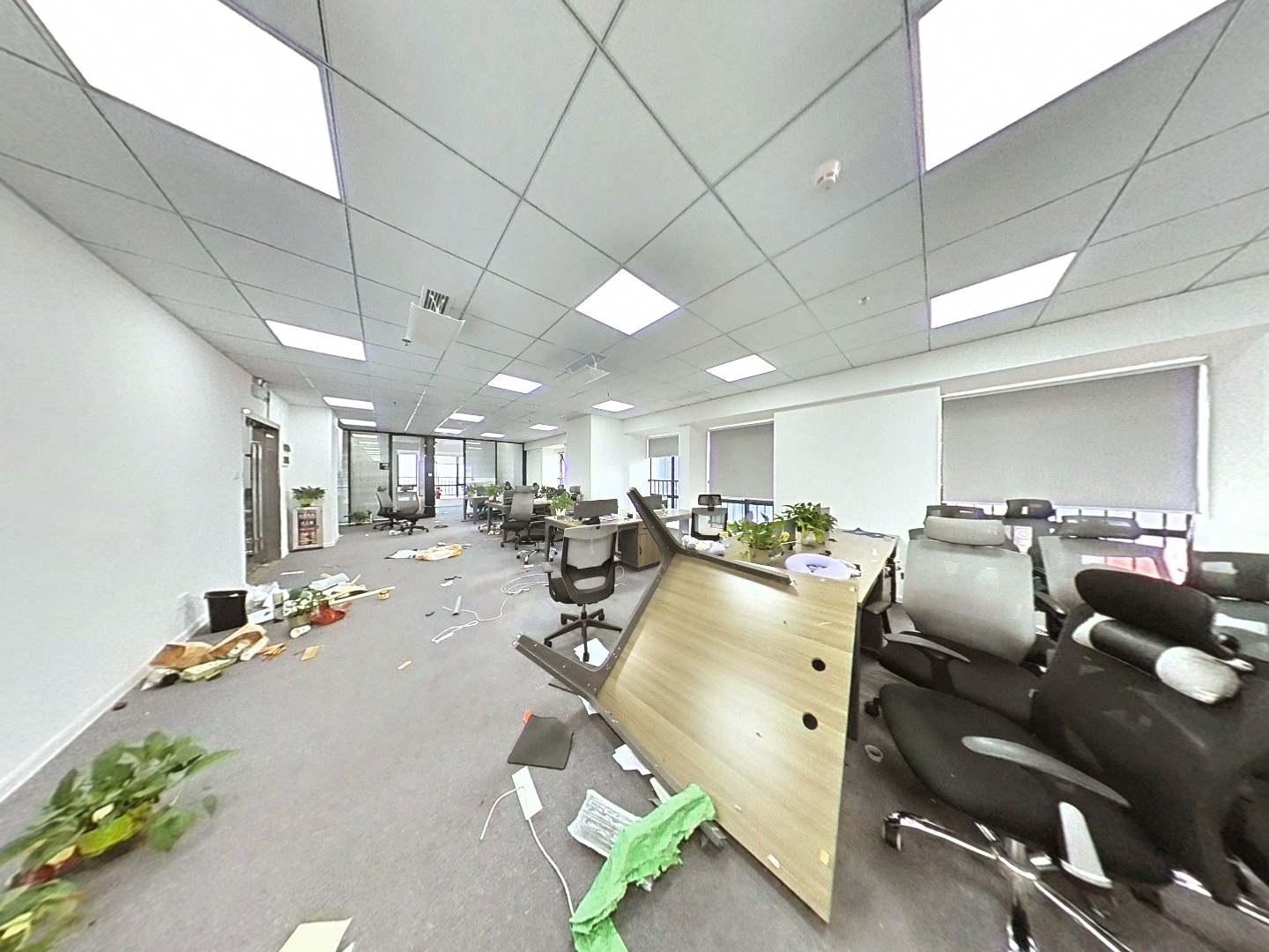 VR预览图