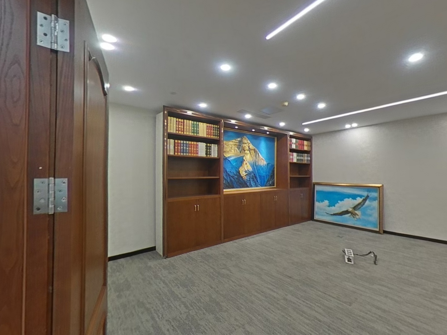 VR预览图