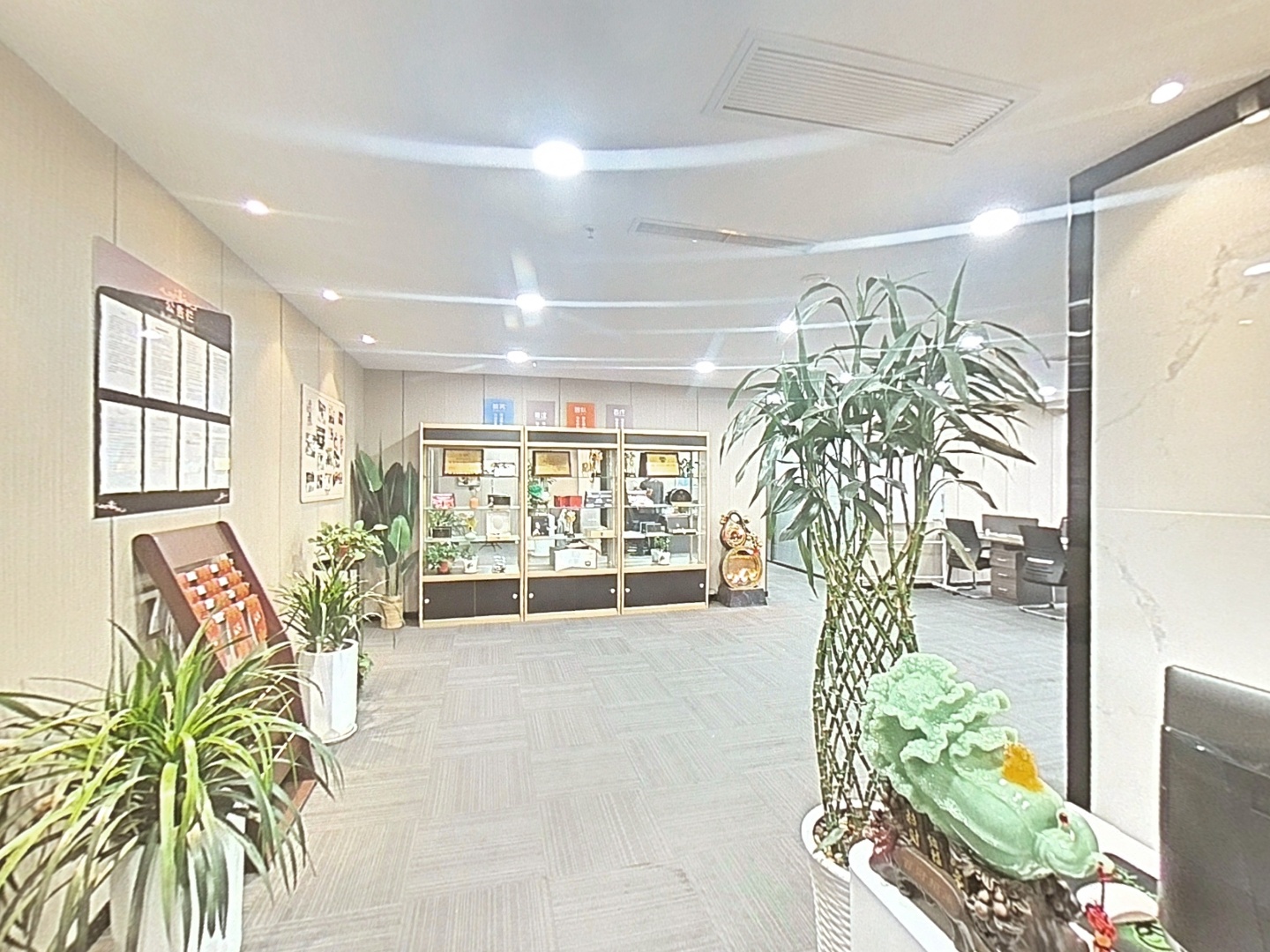 VR预览图