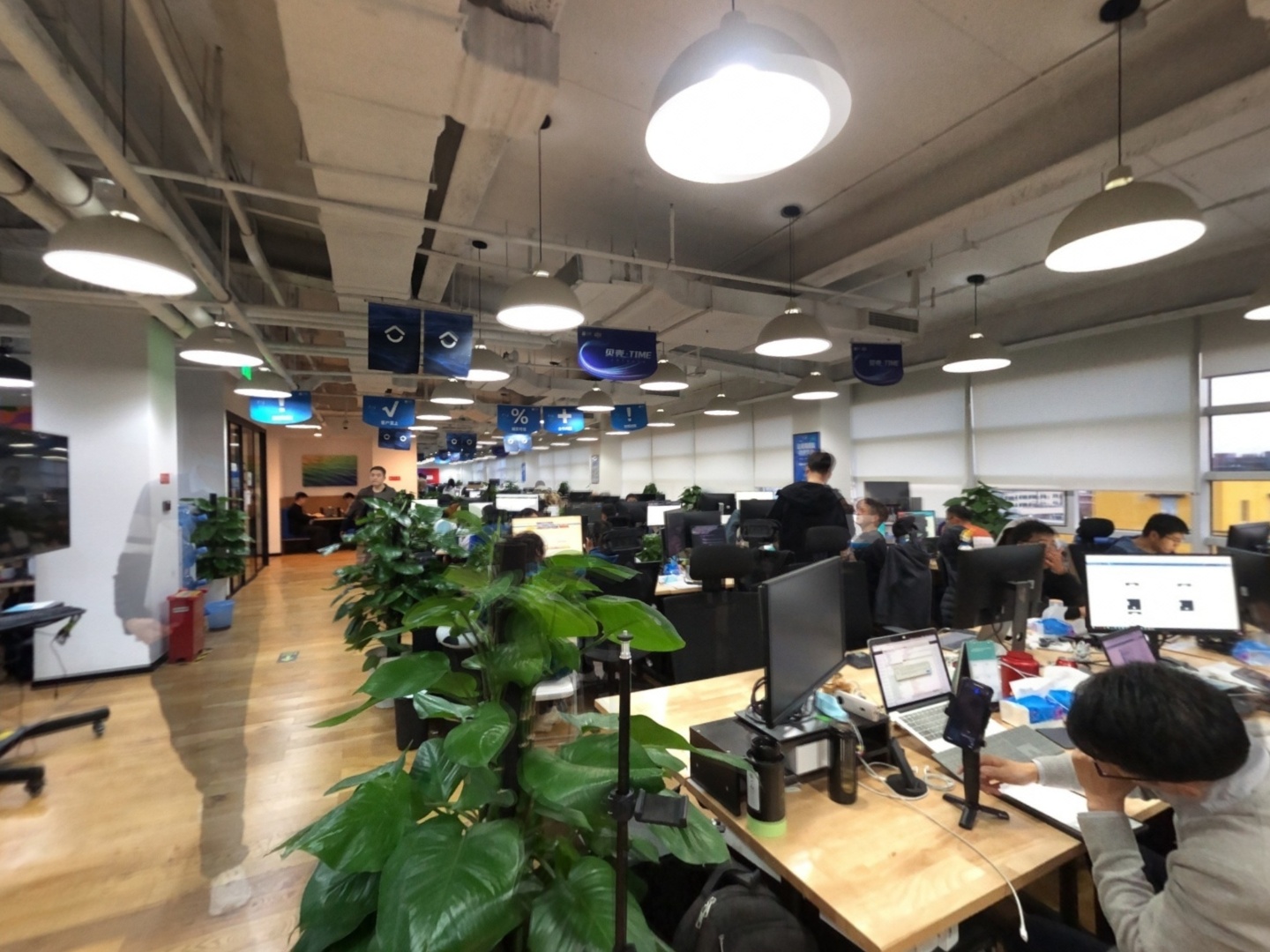 VR预览图