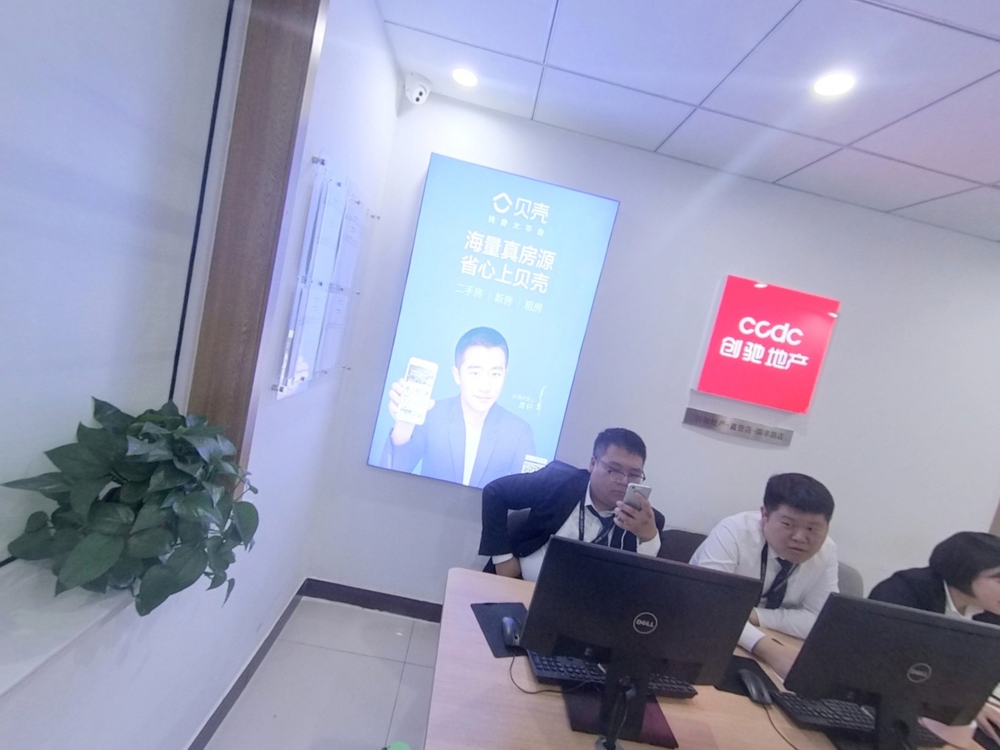 VR预览图