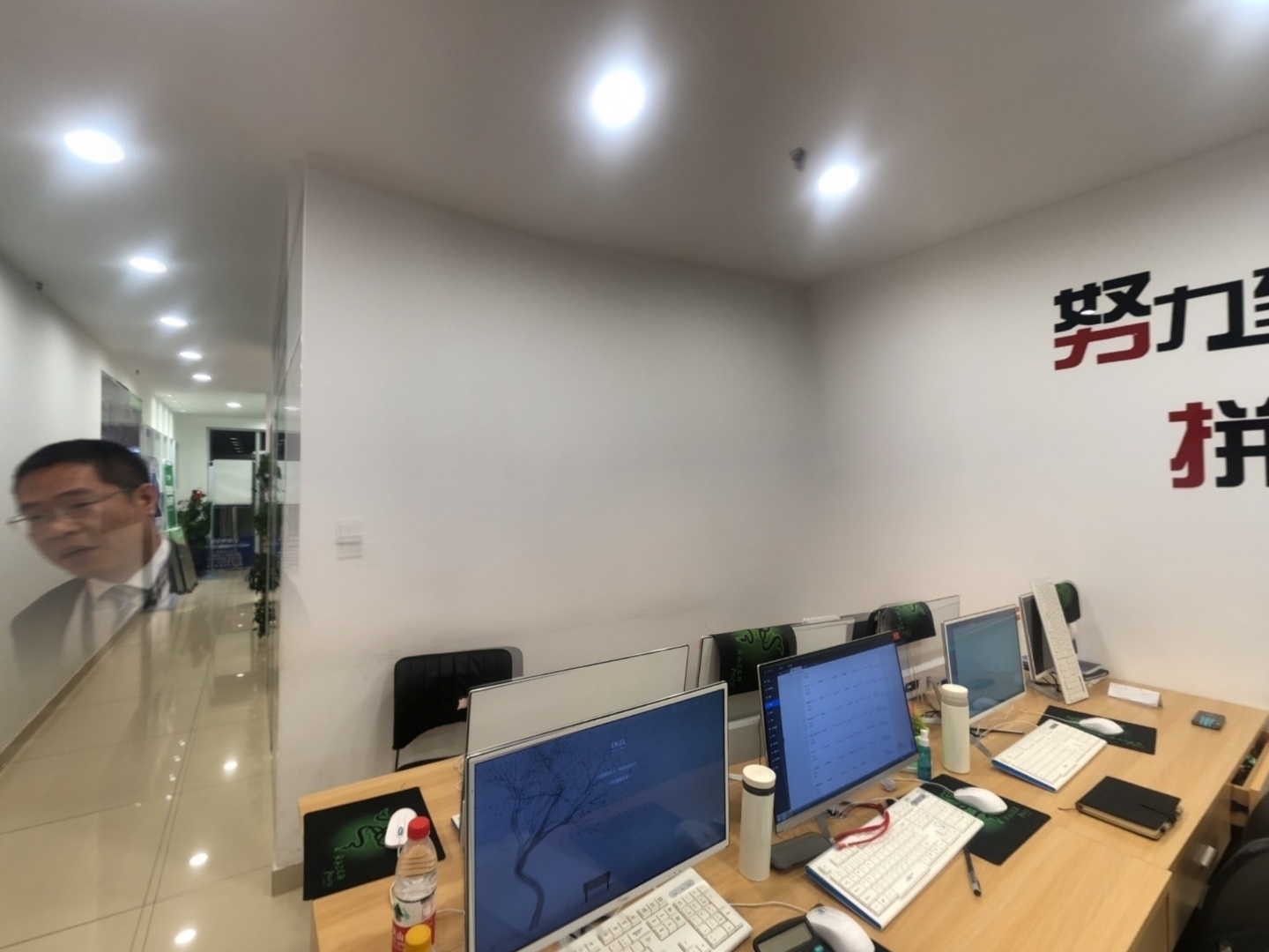 VR预览图