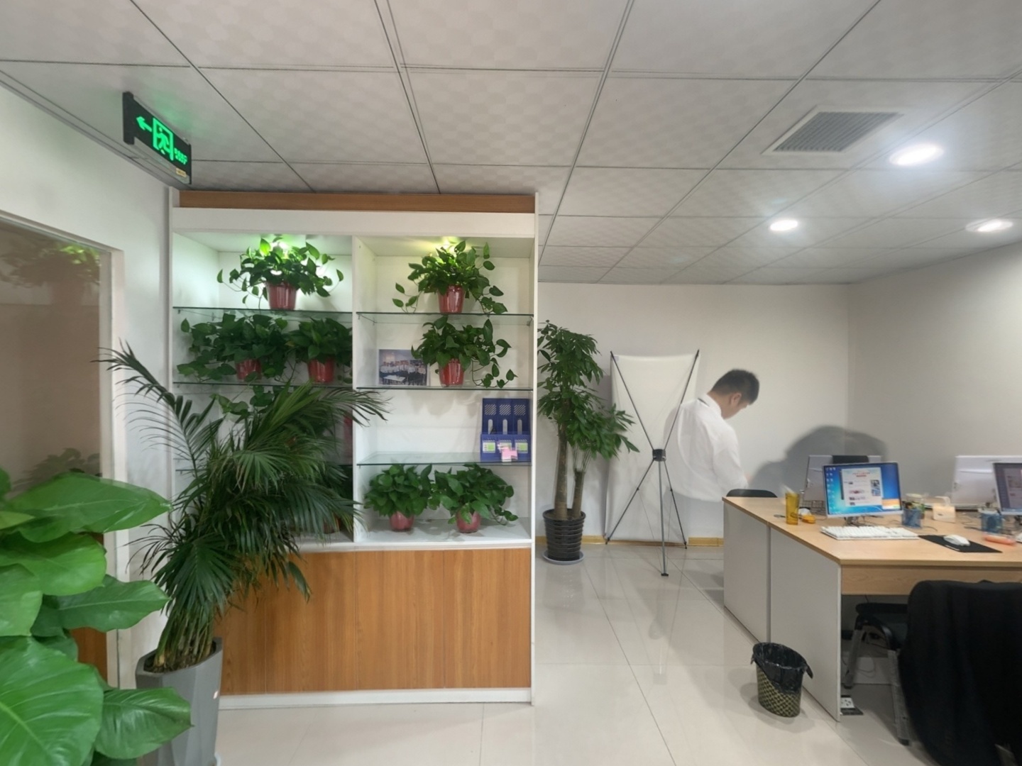 VR预览图