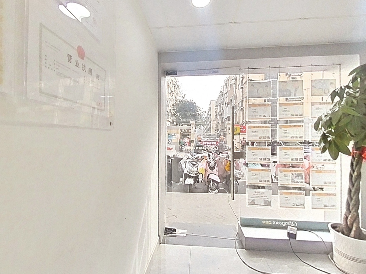 VR预览图