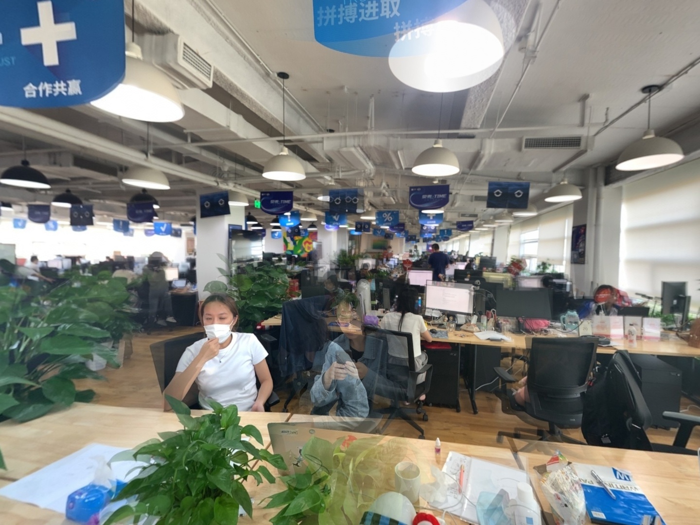 VR预览图