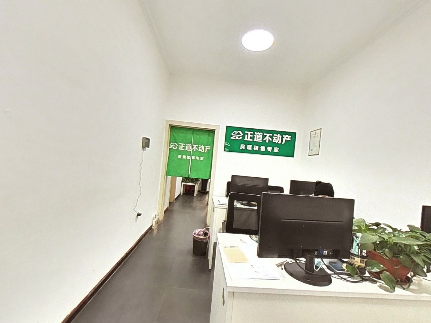 VR预览图