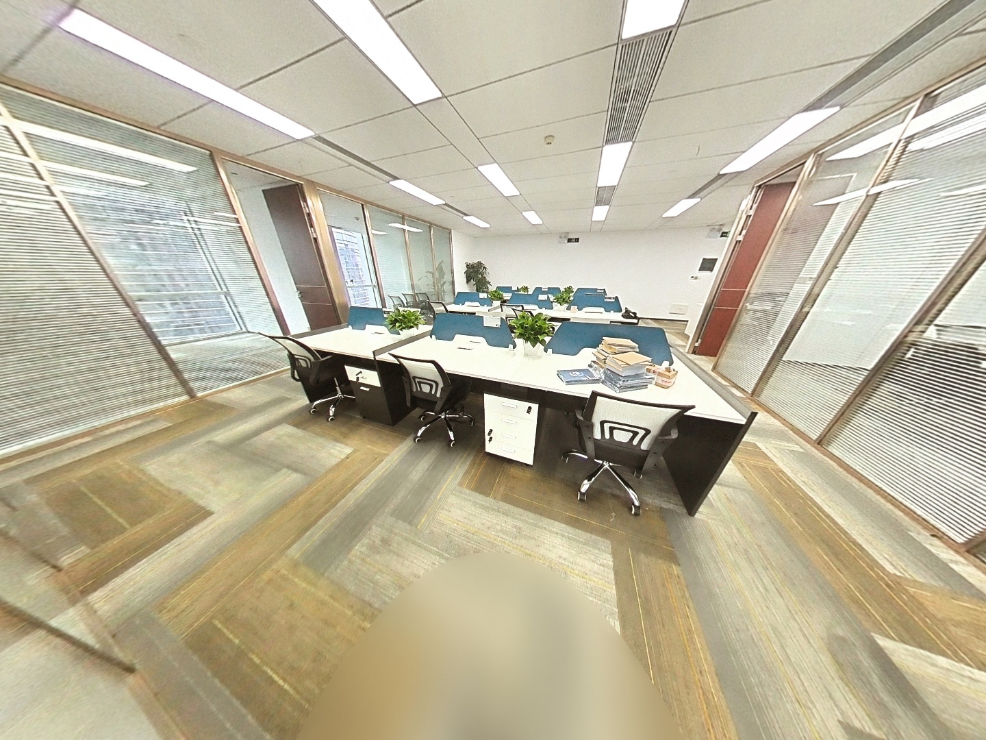 VR预览图