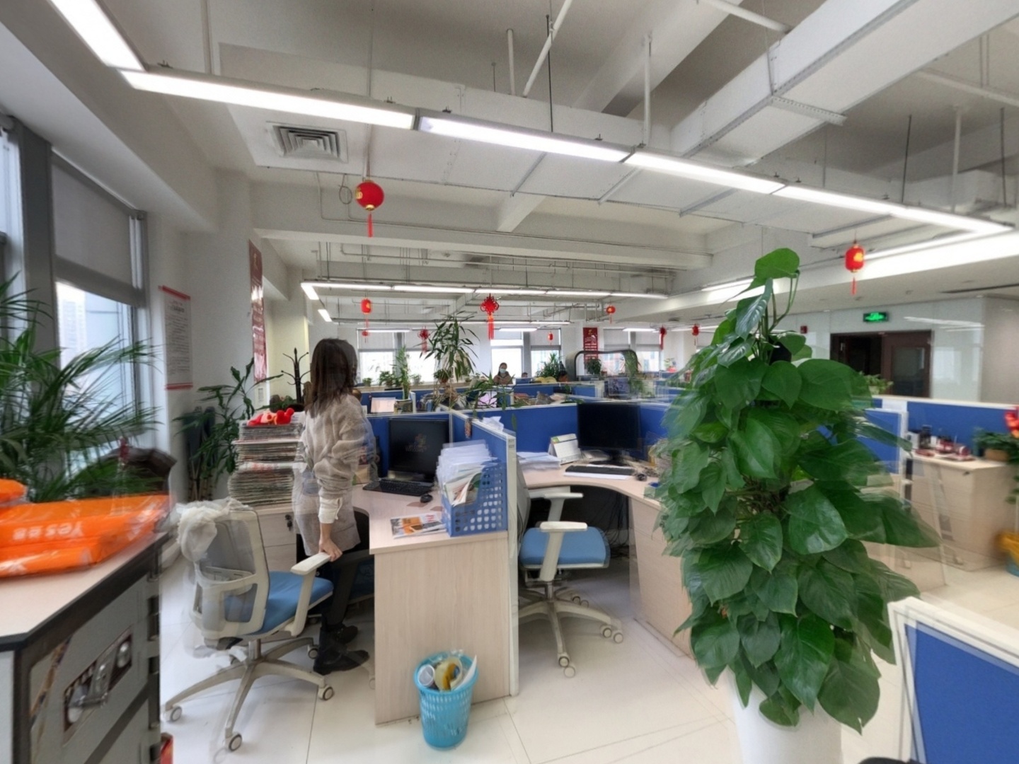 VR预览图