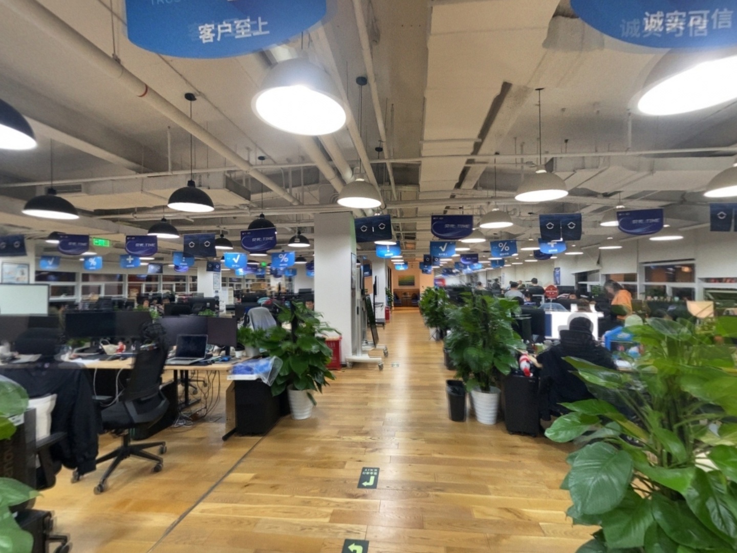 VR预览图