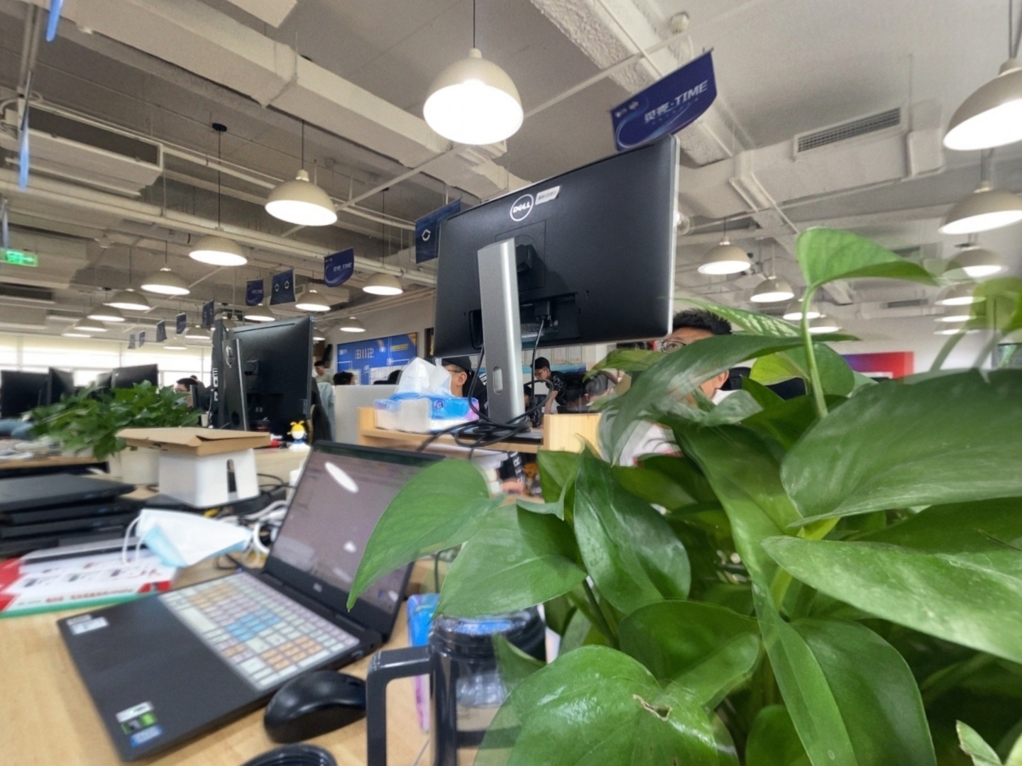 VR预览图