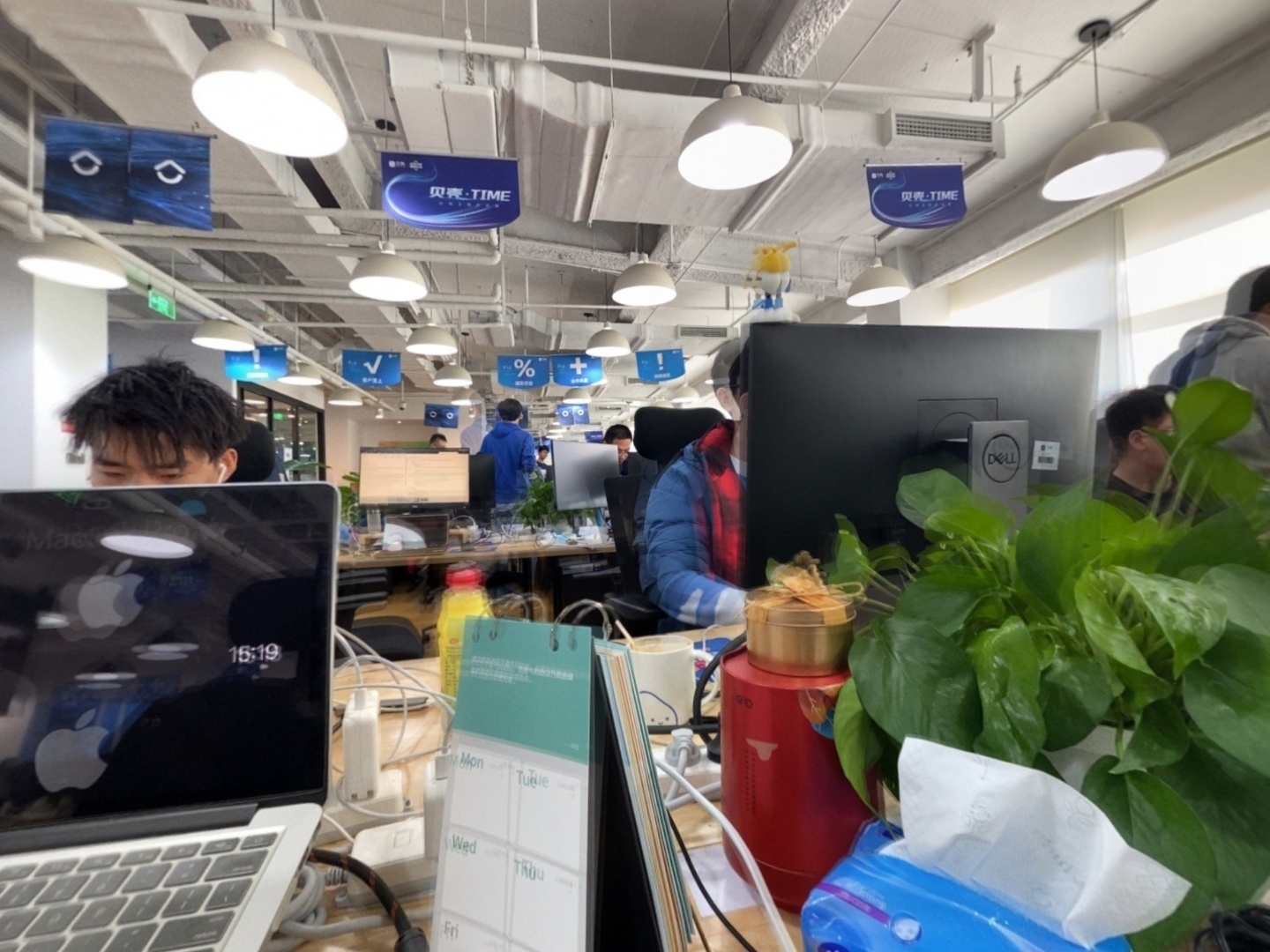 VR预览图
