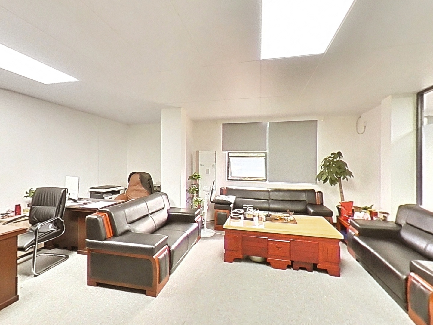 VR预览图