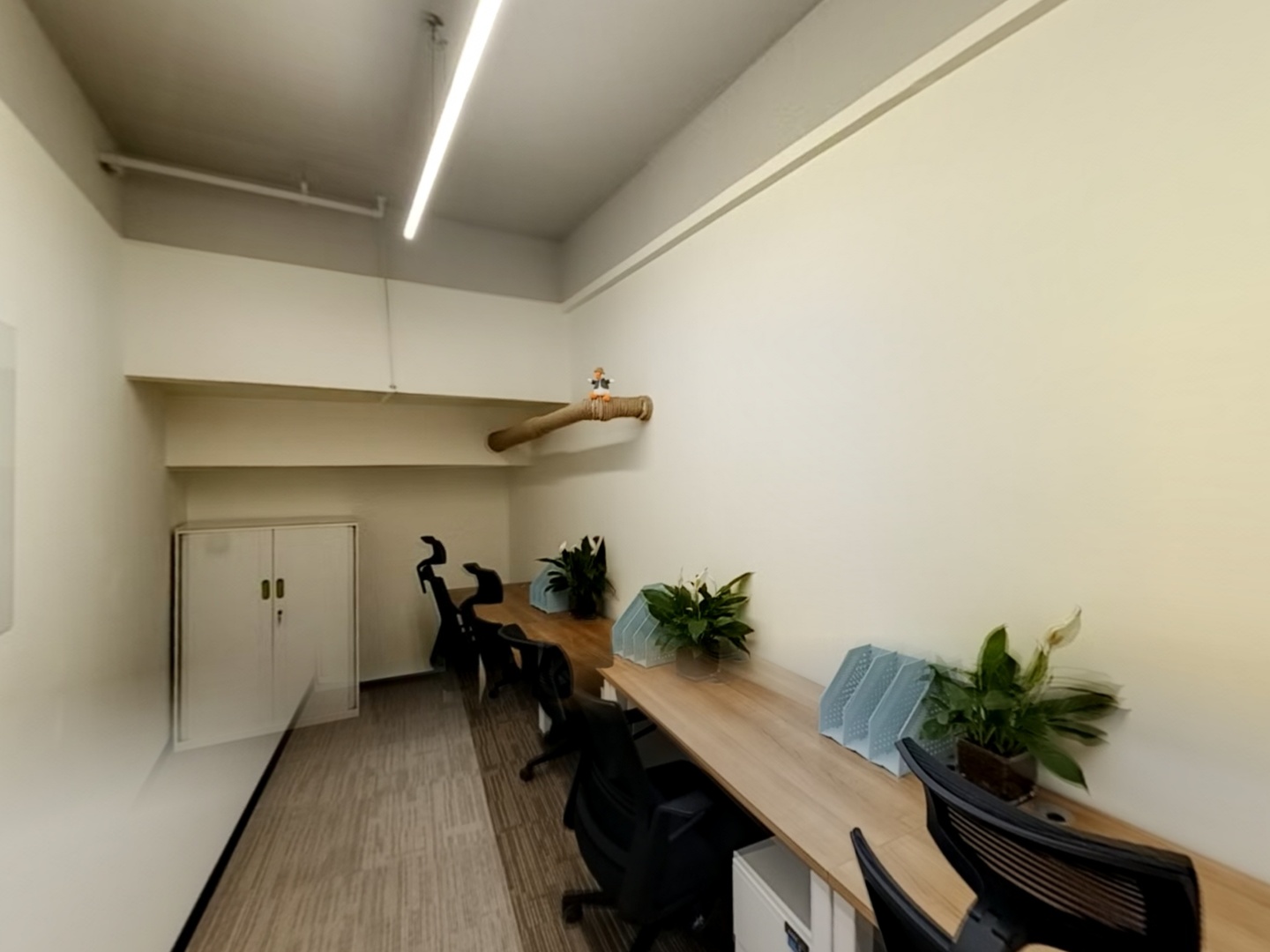 VR预览图