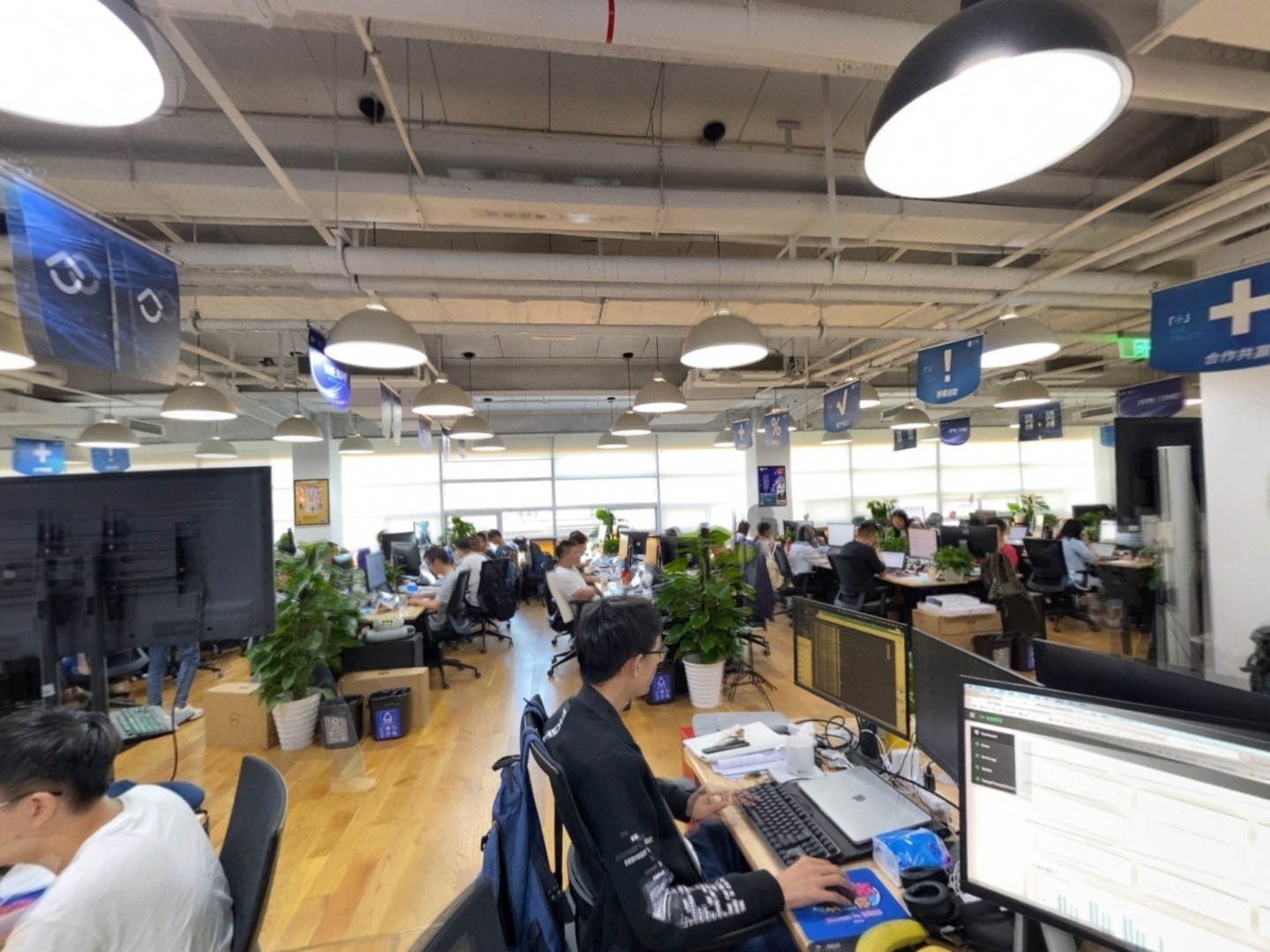 VR预览图