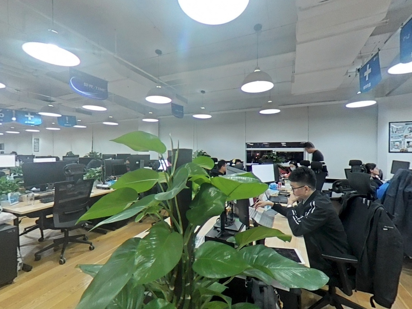 VR预览图