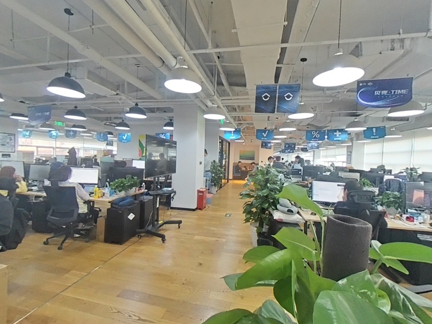 VR预览图