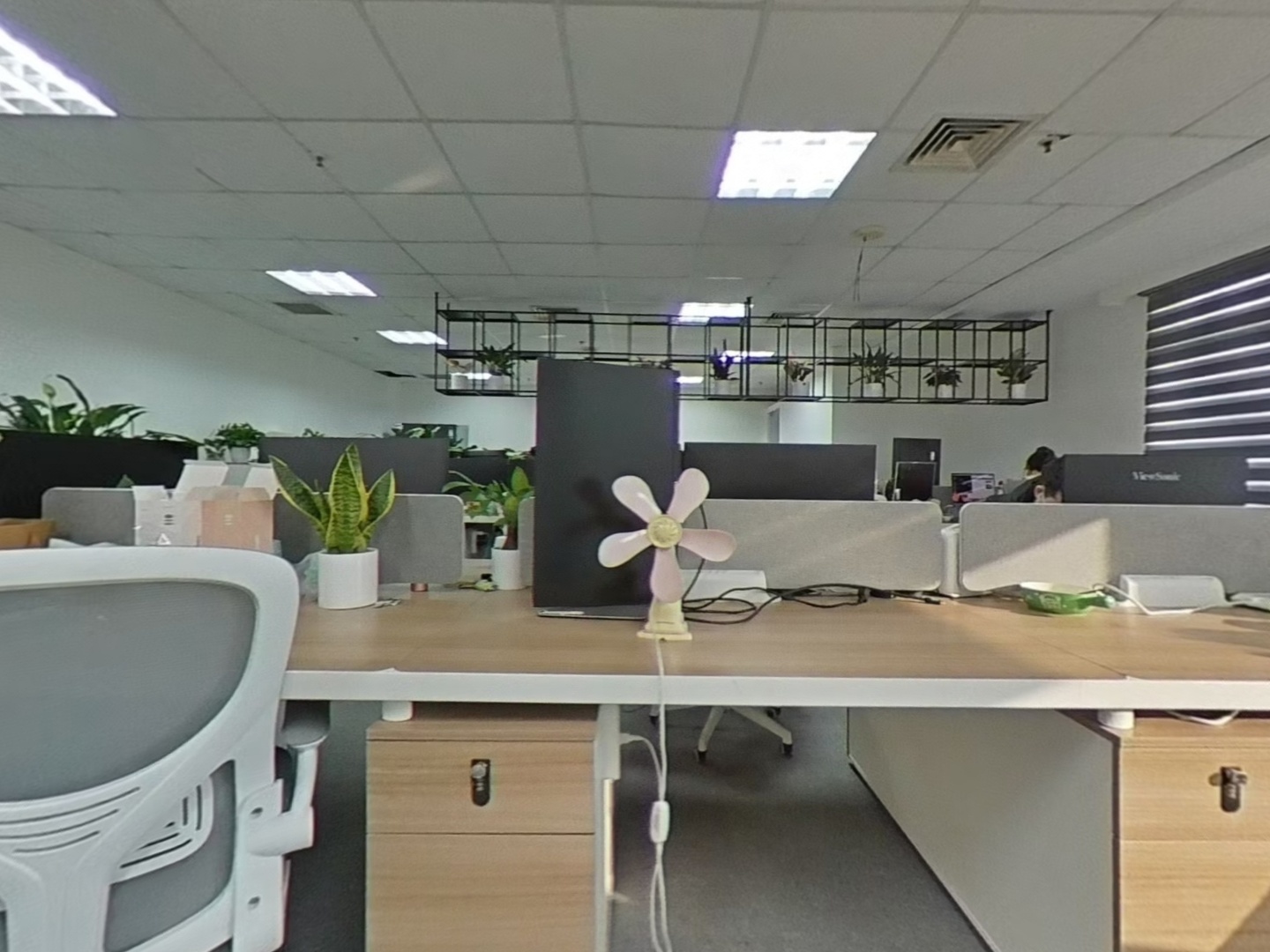 VR预览图