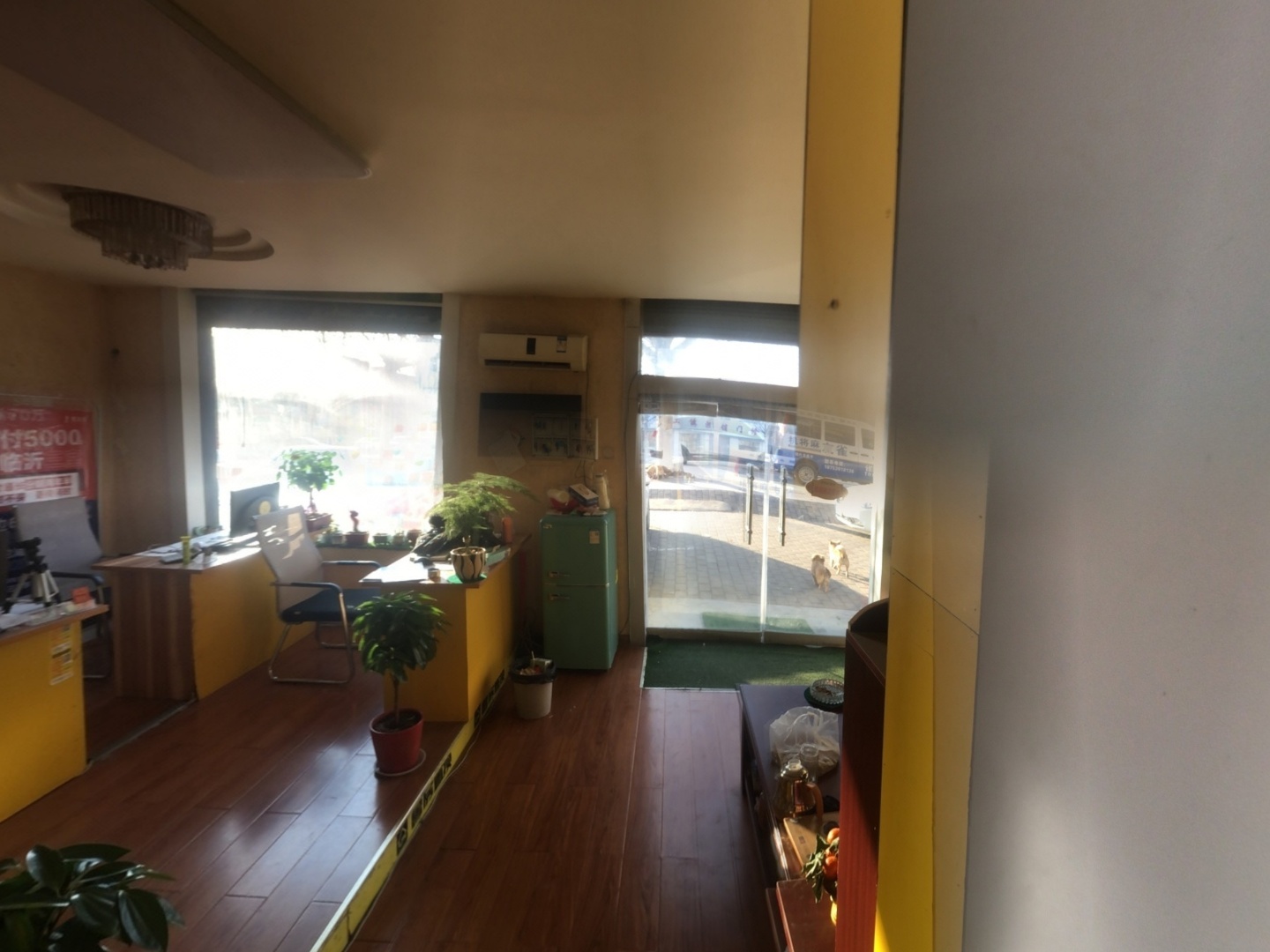VR预览图