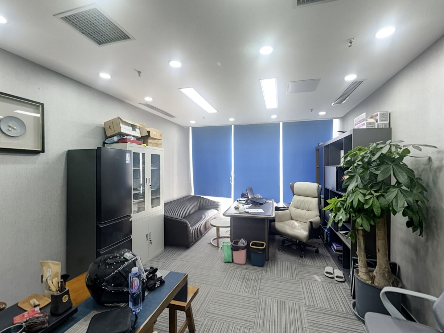 VR预览图